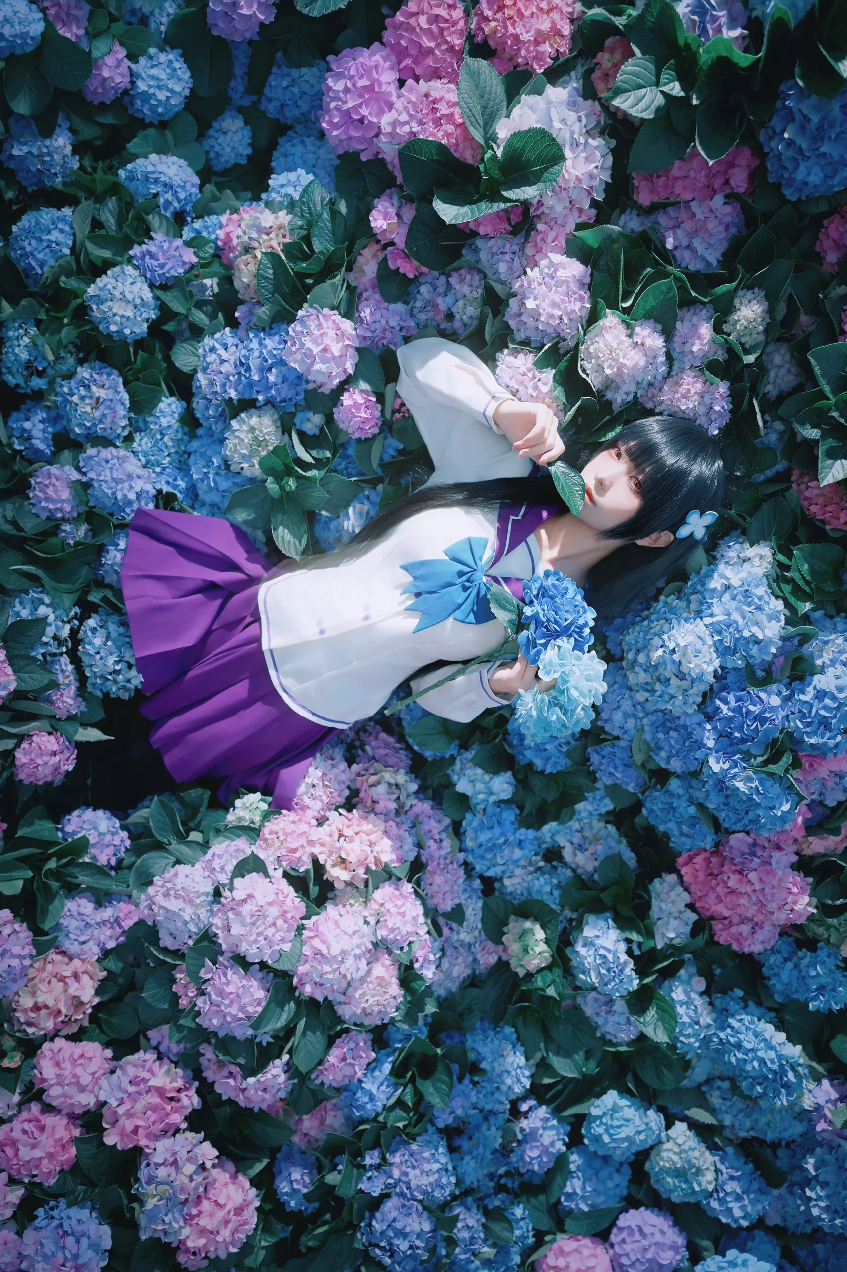【さんかれあ コスプレ】紫陽花シーズンのエンドレスサマー、静寂なる少女の日常 - 1 枚目