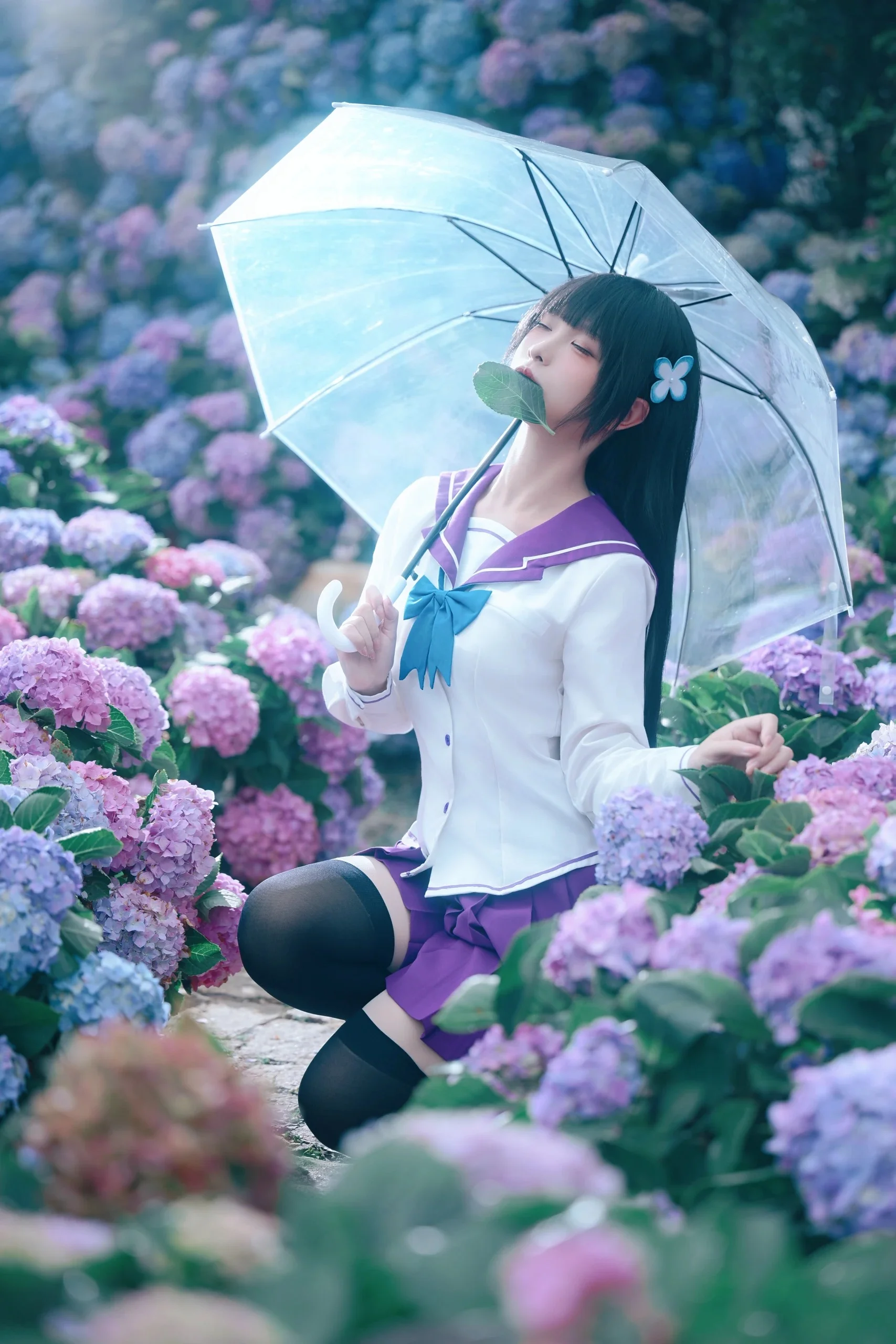 【さんかれあ コスプレ】無限に咲くエンドレスサマーの紫陽花の海で、アジサイのような少女に出会う - 1 枚目
