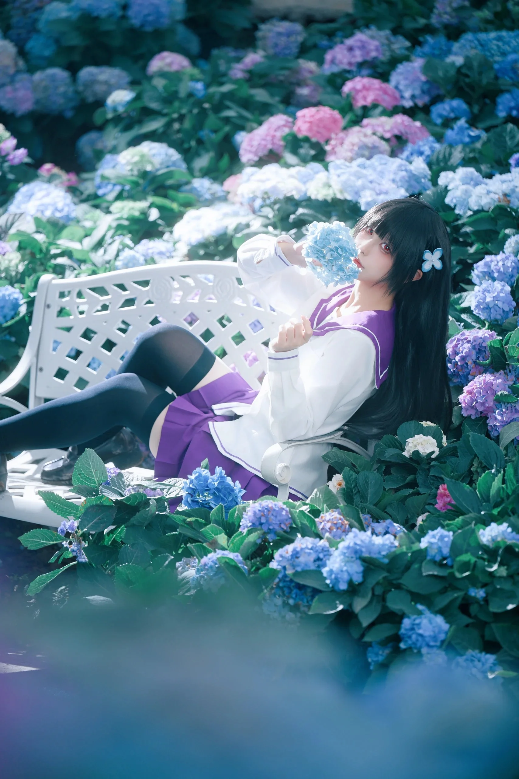 【散华礼弥cos】在无尽夏绣球花海中遇见紫阳花般的少女