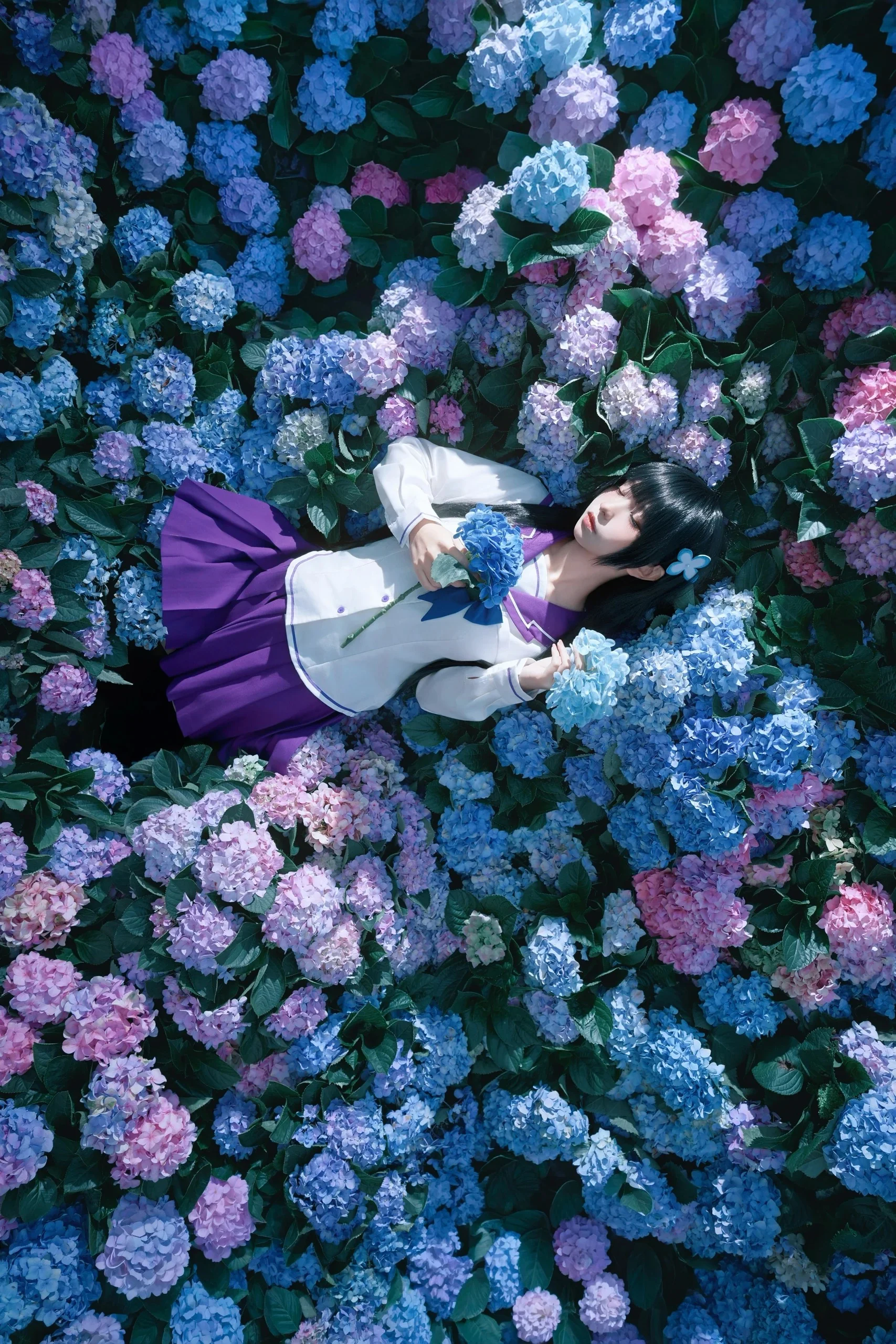 【さんかれあ コスプレ】無限に咲くエンドレスサマーの紫陽花の海で、アジサイのような少女に出会う - 5 枚目