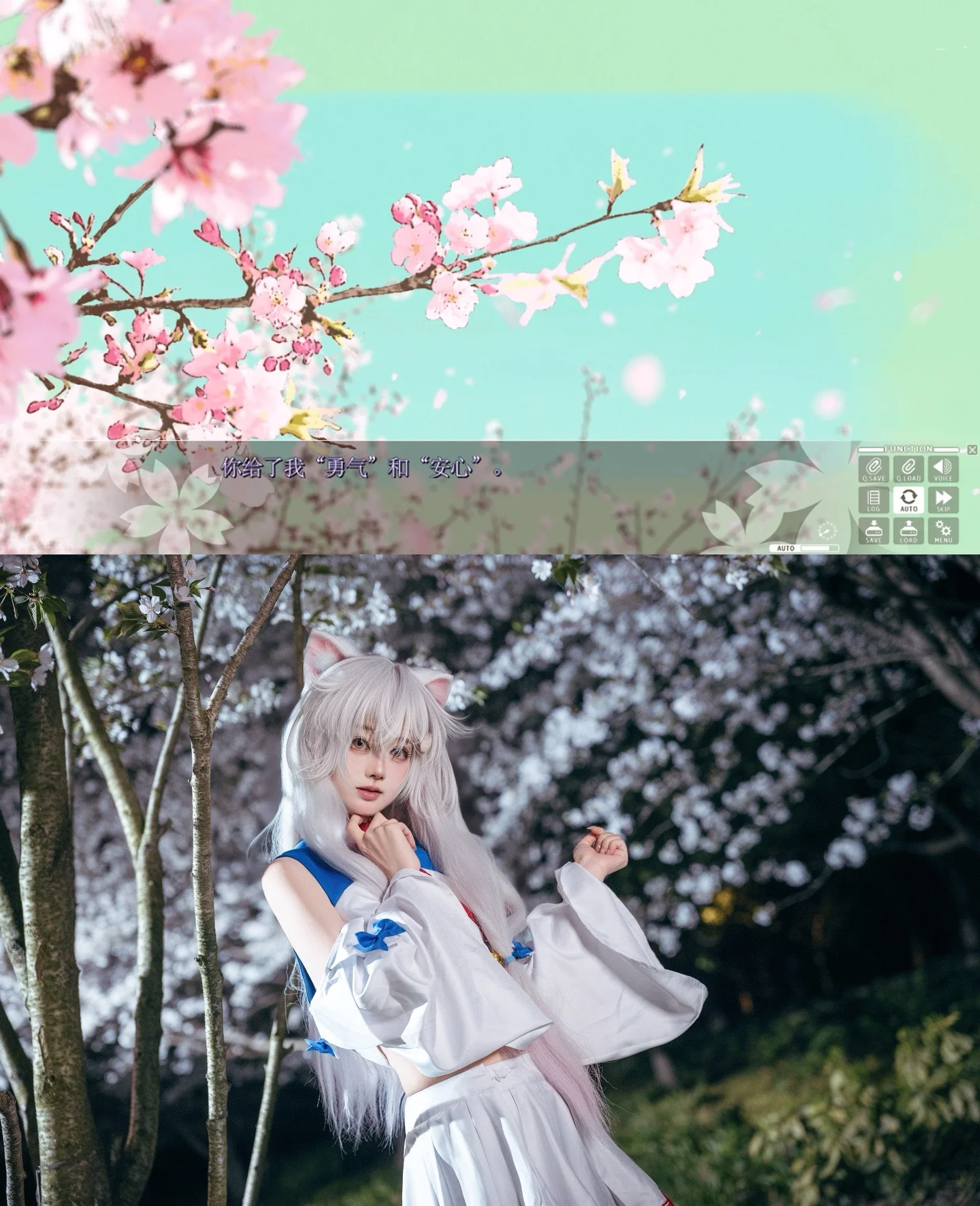 【小黑cos】在櫻花萌放的夜裡，捕捉一隻毛茸茸的小貓 - 第 2 張