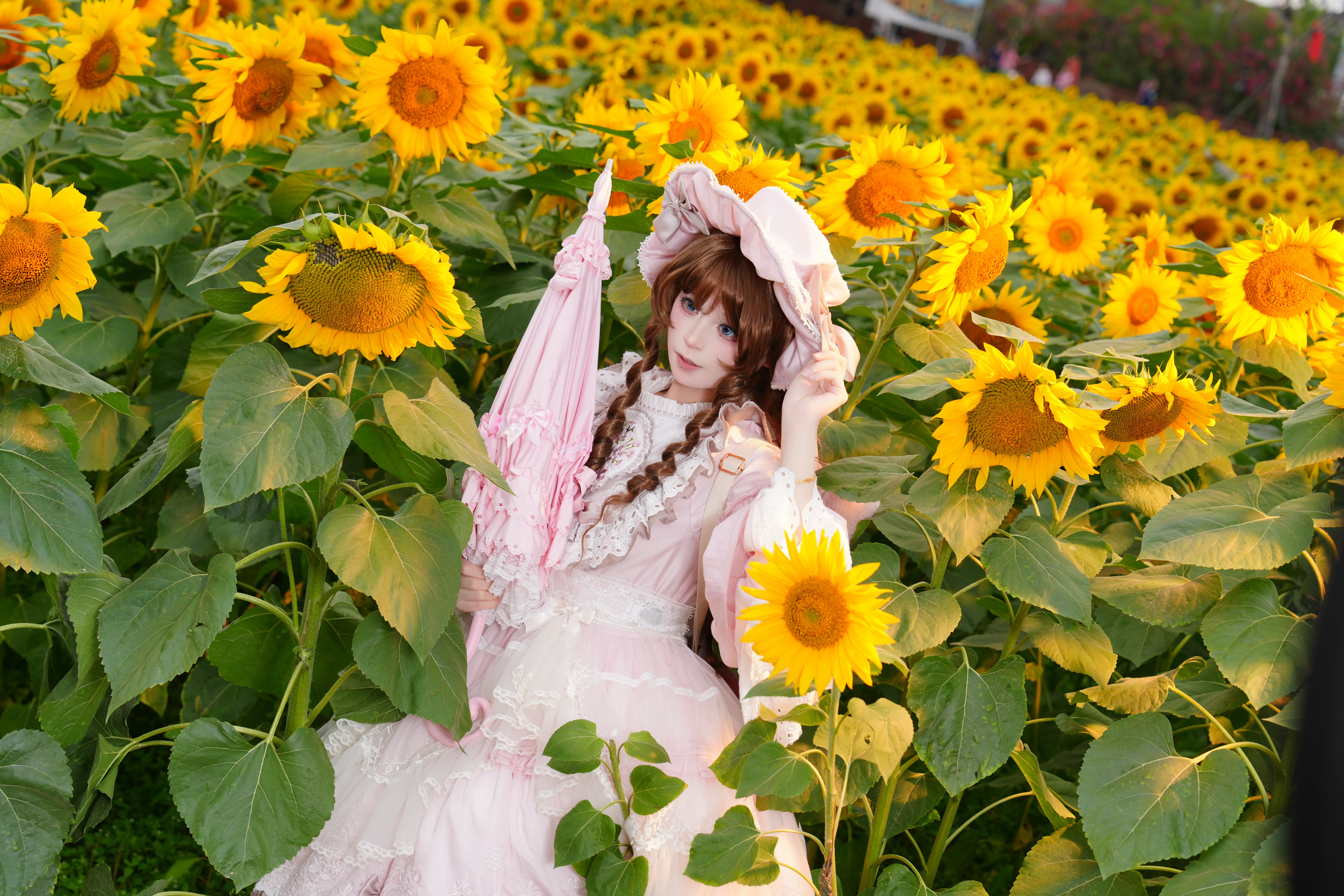【Lolita穿搭】向日葵花海中寻找那一抹夏日温柔 - 第 1 张