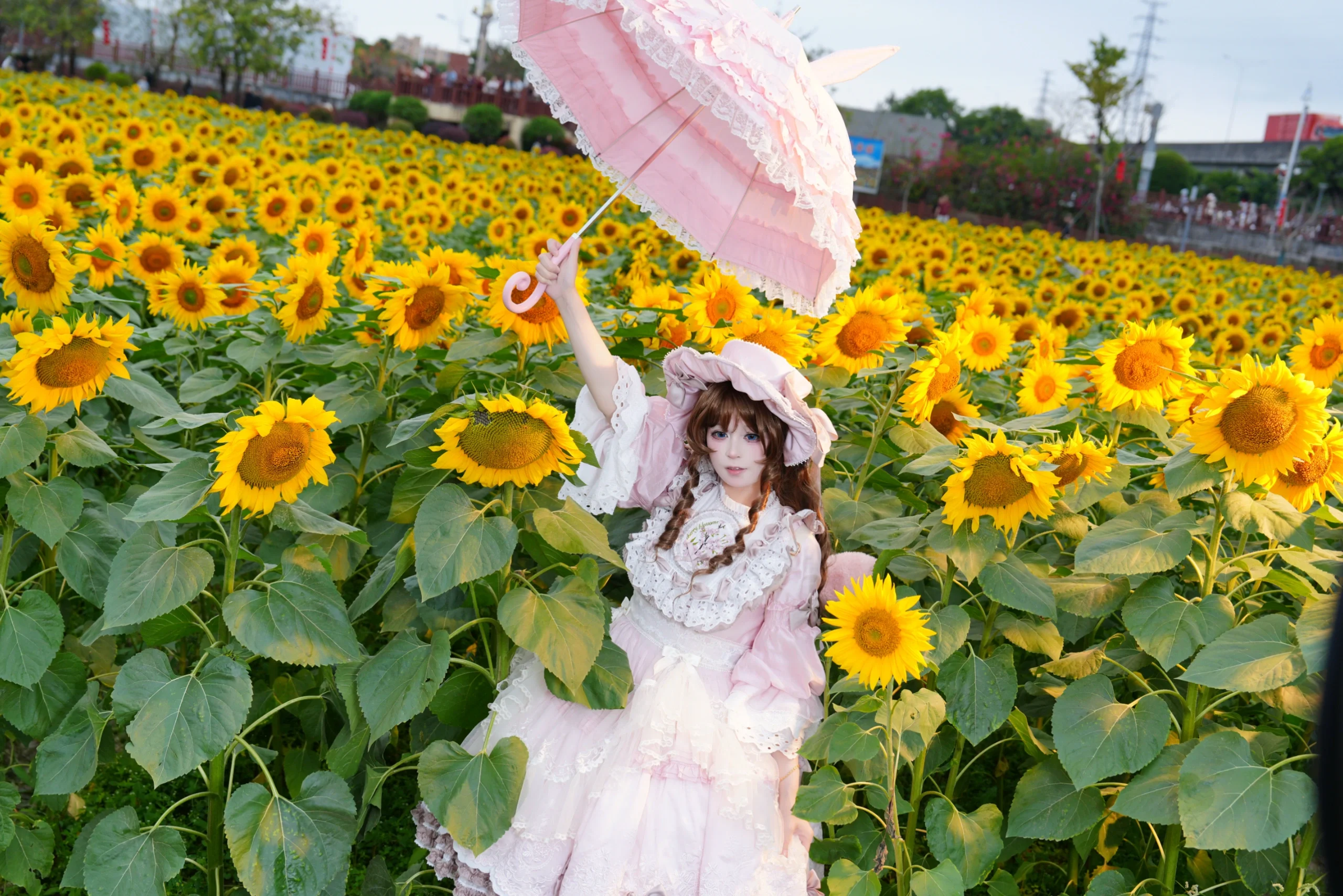 【Lolita穿搭】向日葵花海中寻找那一抹夏日温柔 - 第 2 张