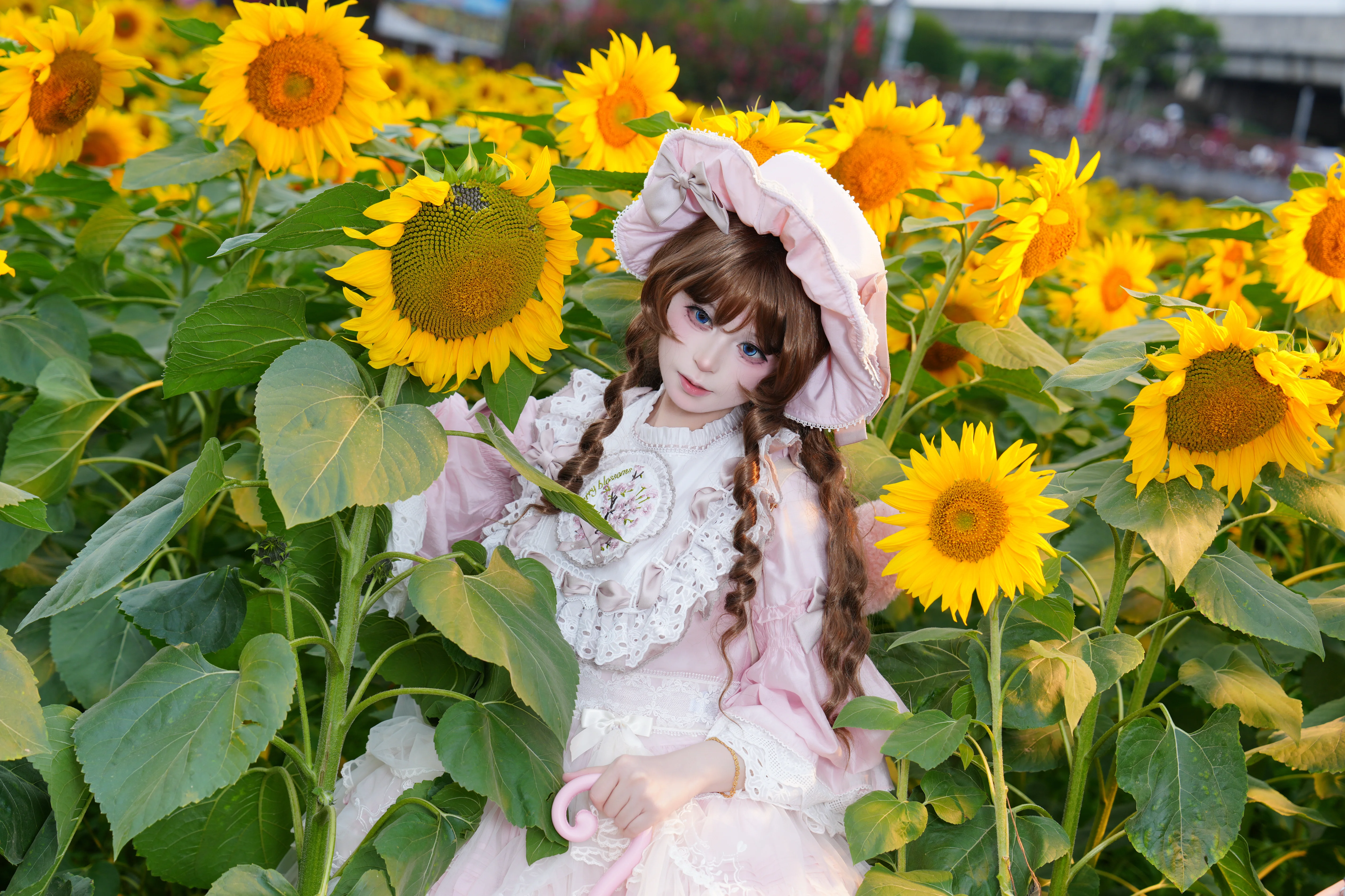 【Lolita穿搭】向日葵花海中寻找那一抹夏日温柔 - 第 3 张
