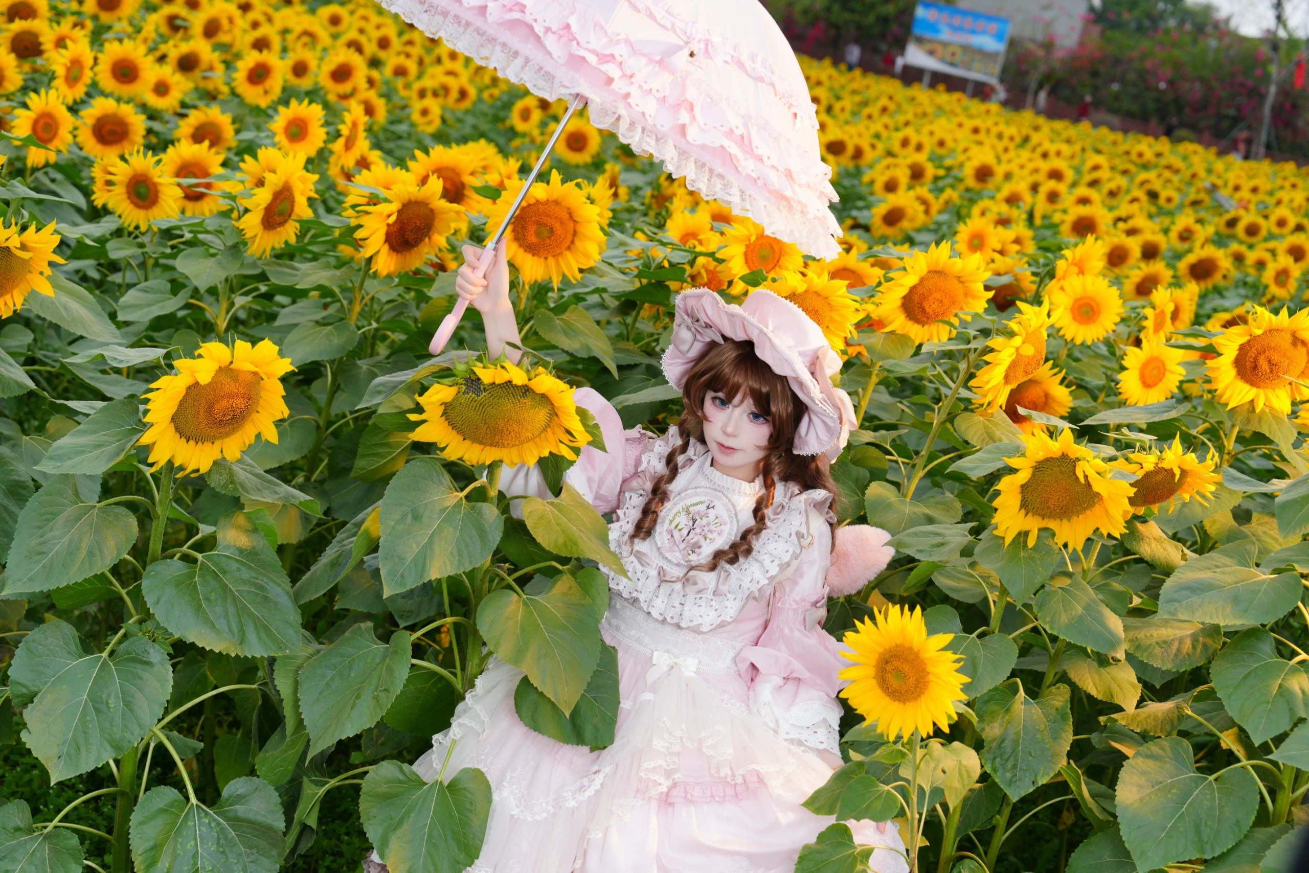 【Lolita穿搭】向日葵花海中寻找那一抹夏日温柔 - 第 5 张