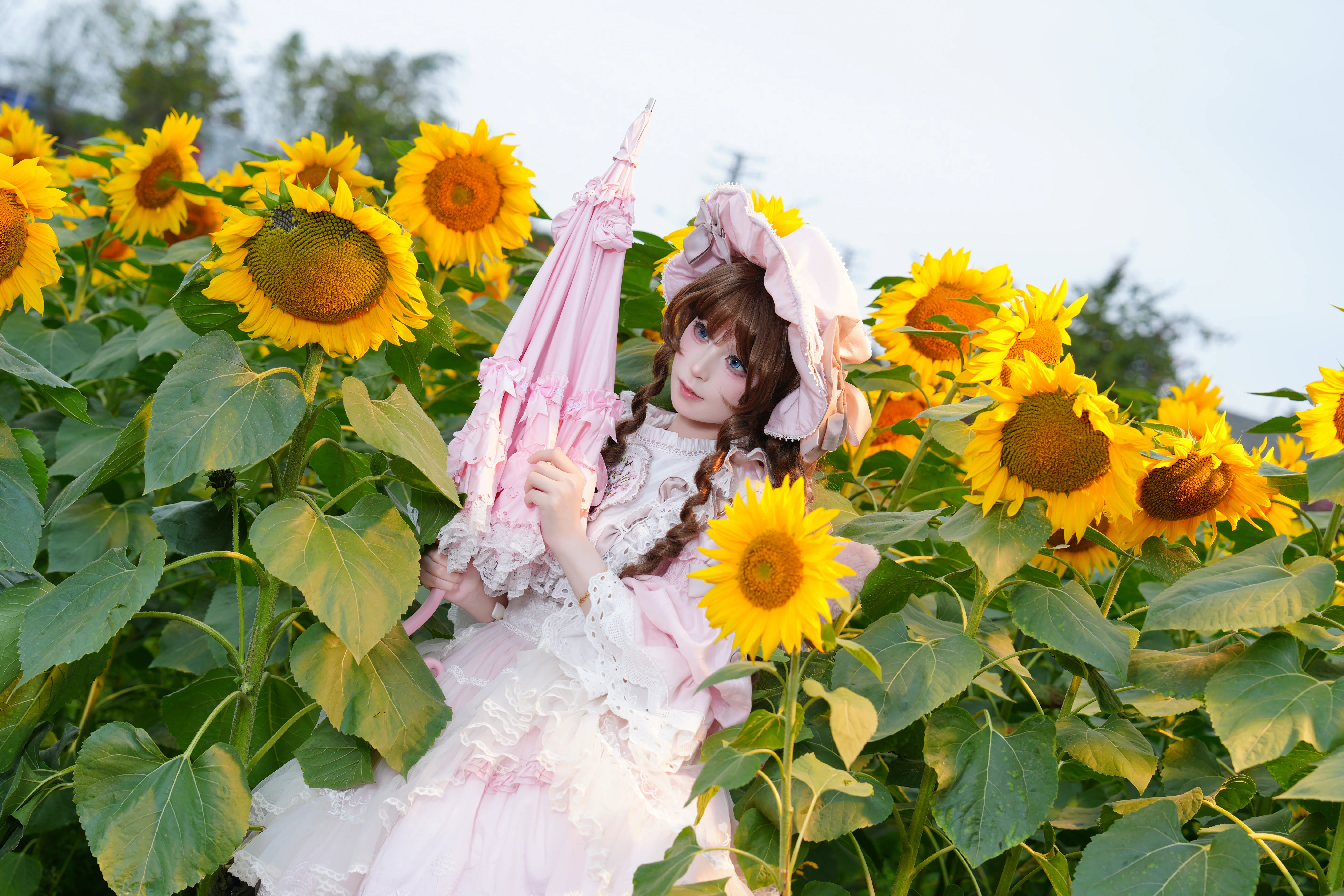 【Lolita穿搭】向日葵花海中寻找那一抹夏日温柔 - 第 6 张