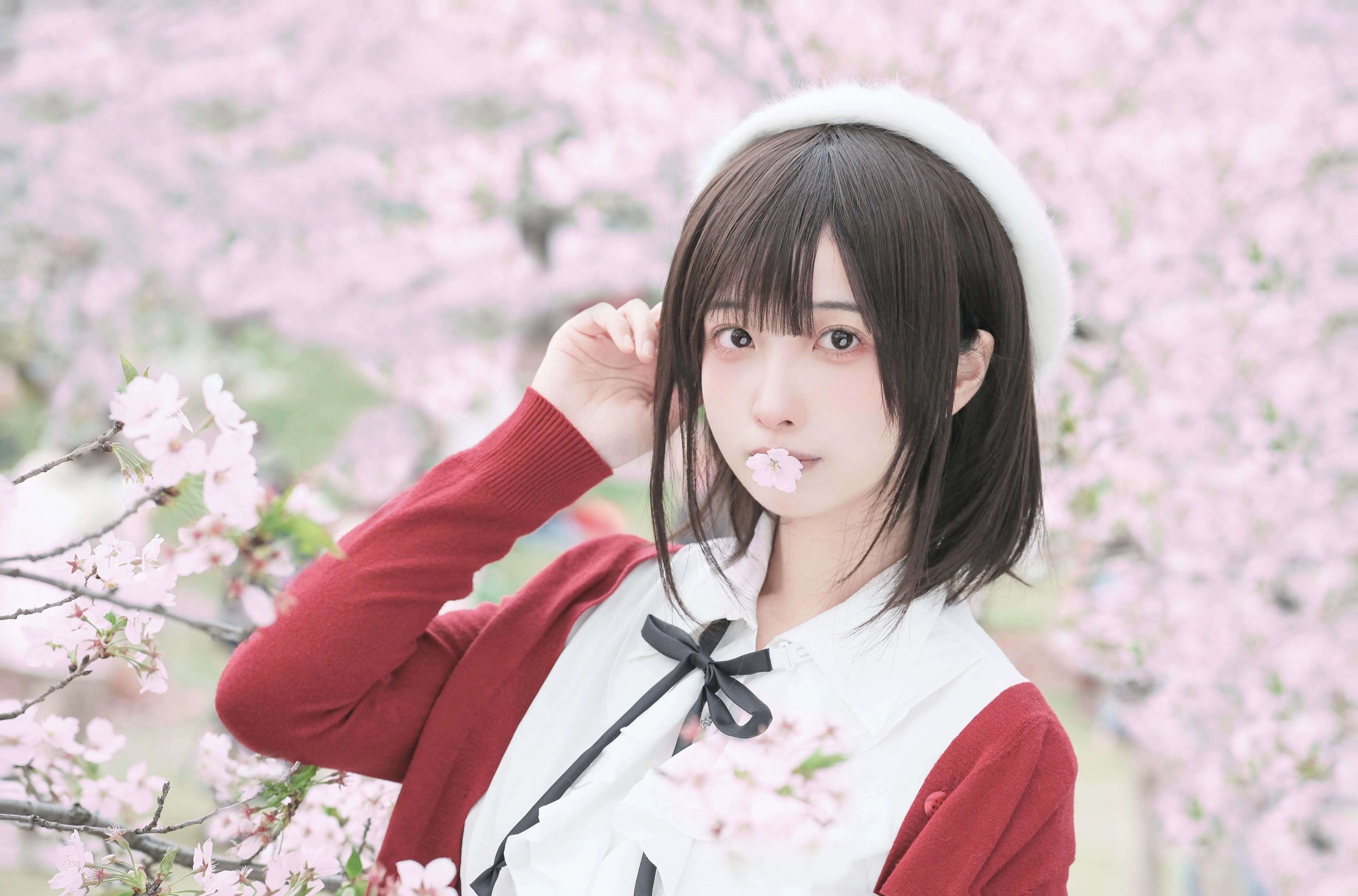 【加藤惠cos】在樱花树下定格路人女主的美好瞬间 - 第 4 张