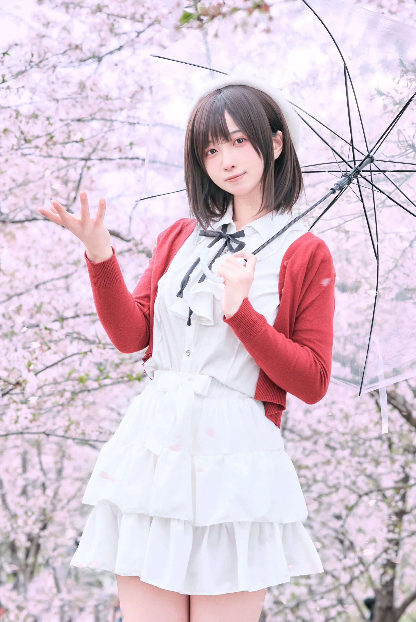 【加藤惠cos】路人女主的养成方法，春日樱花树下的校园邂逅 - 第 1 张