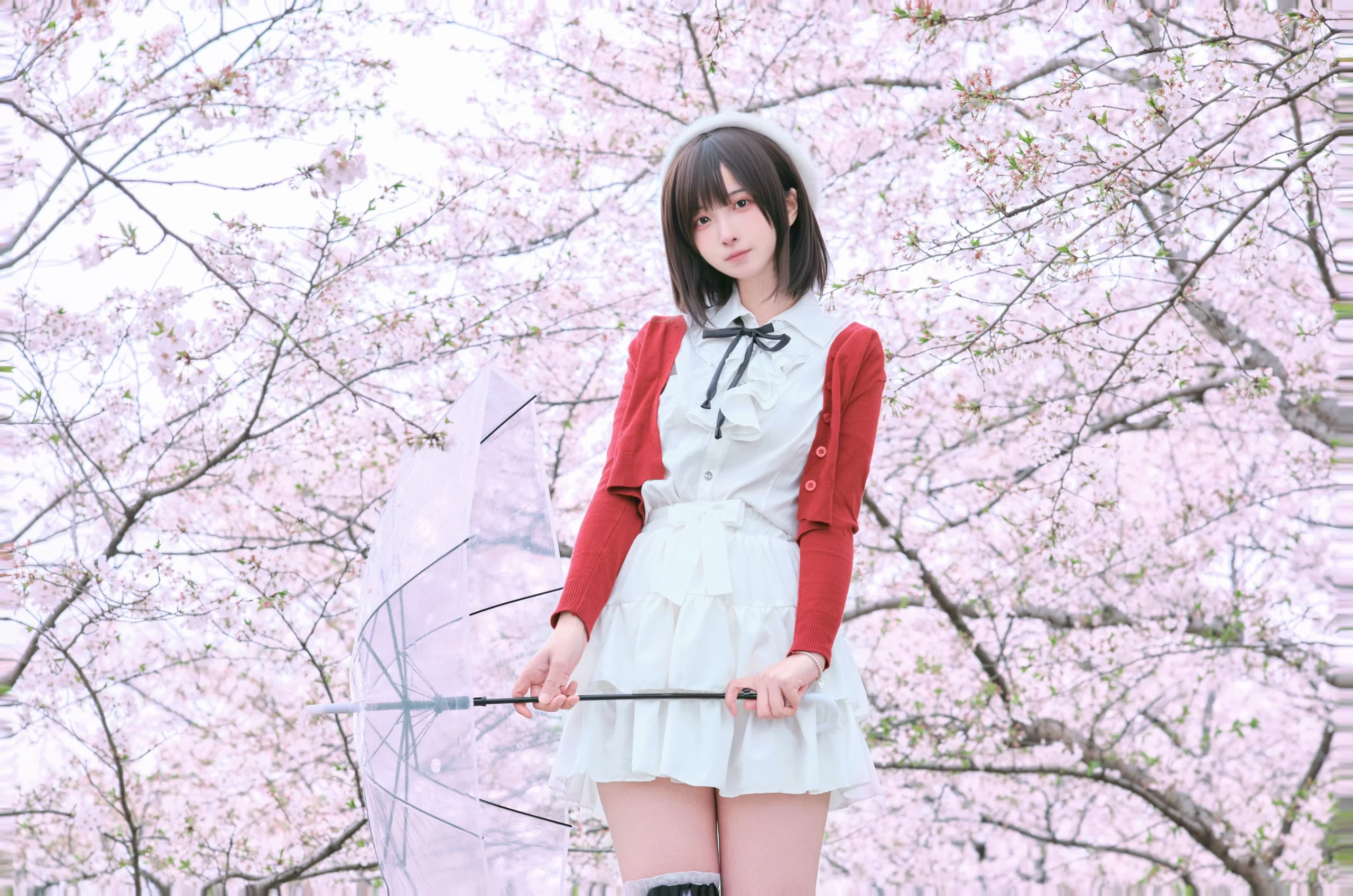 【加藤惠cos】路人女主的养成方法，春日樱花树下的校园邂逅 - 第 3 张