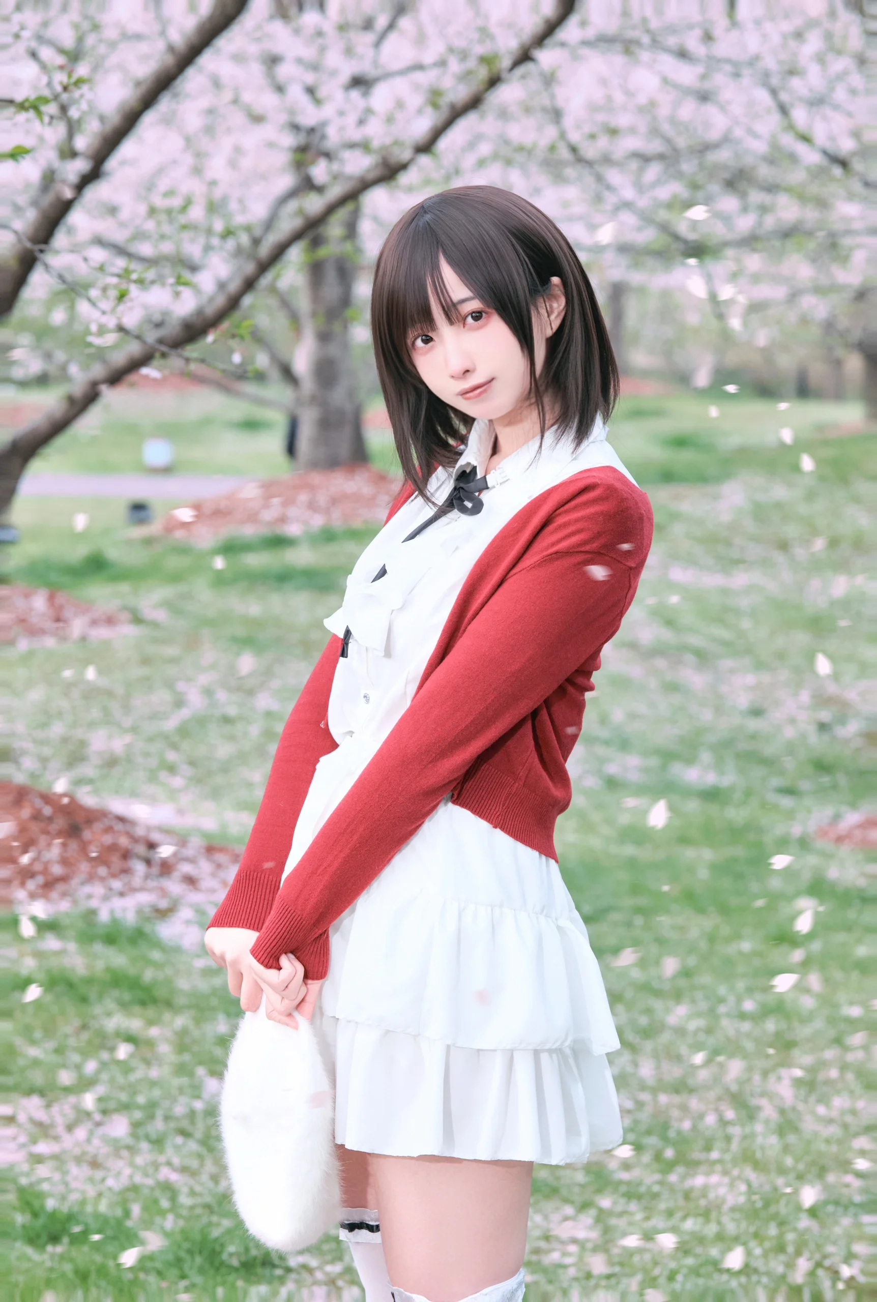 【加藤惠cos】路人女主的养成方法，春日樱花树下的校园邂逅 - 第 5 张