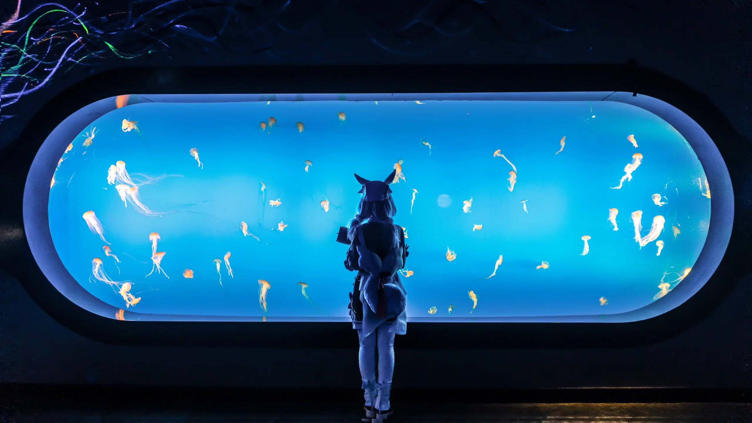 【希格雯cos】原神里的反差魅力，在水族馆拿麻醉枪的一天 - 第 6 张