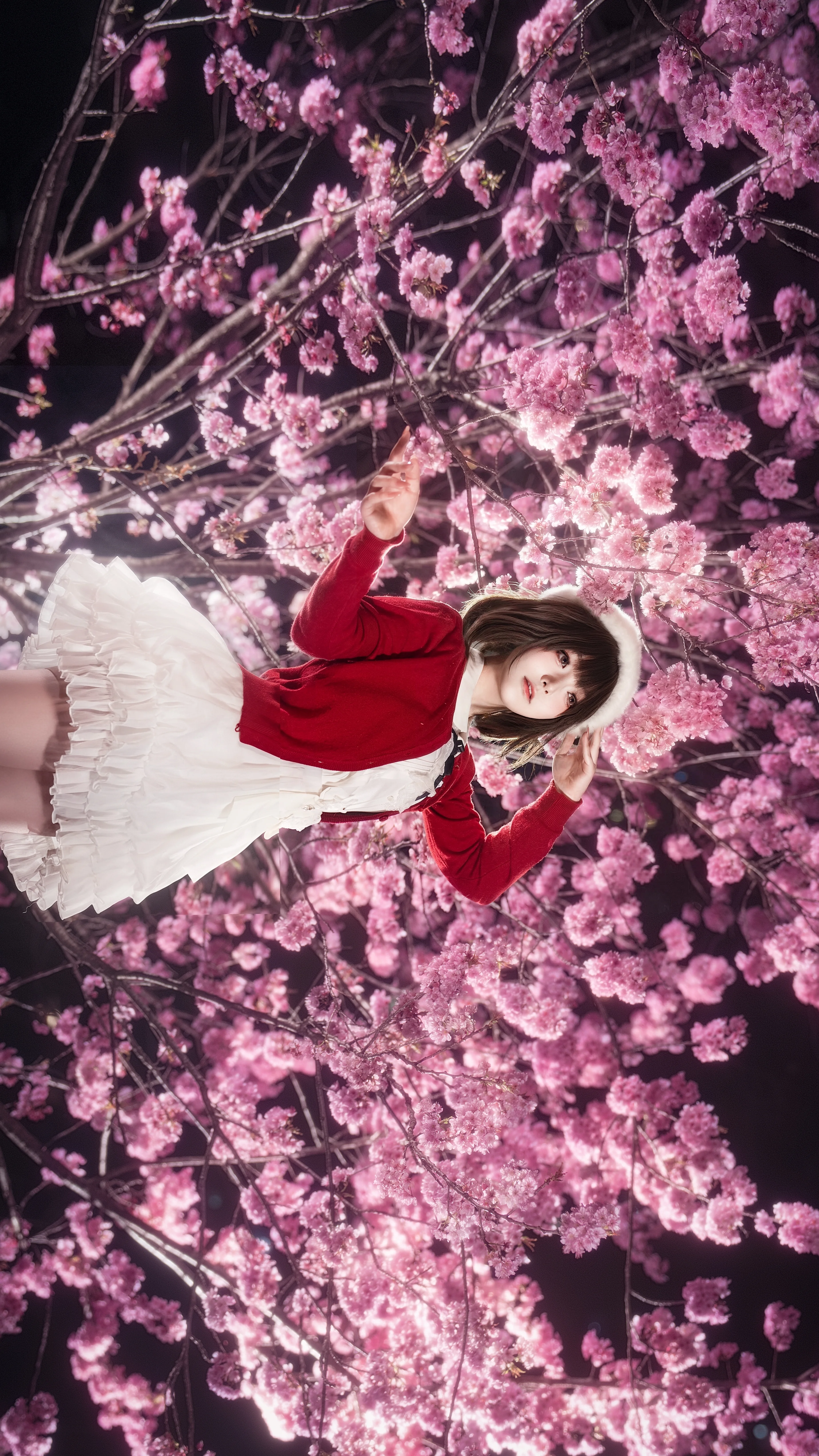 【加藤惠cos】夜樱与惠，红色开衫与花海的邂逅 - 第 2 张