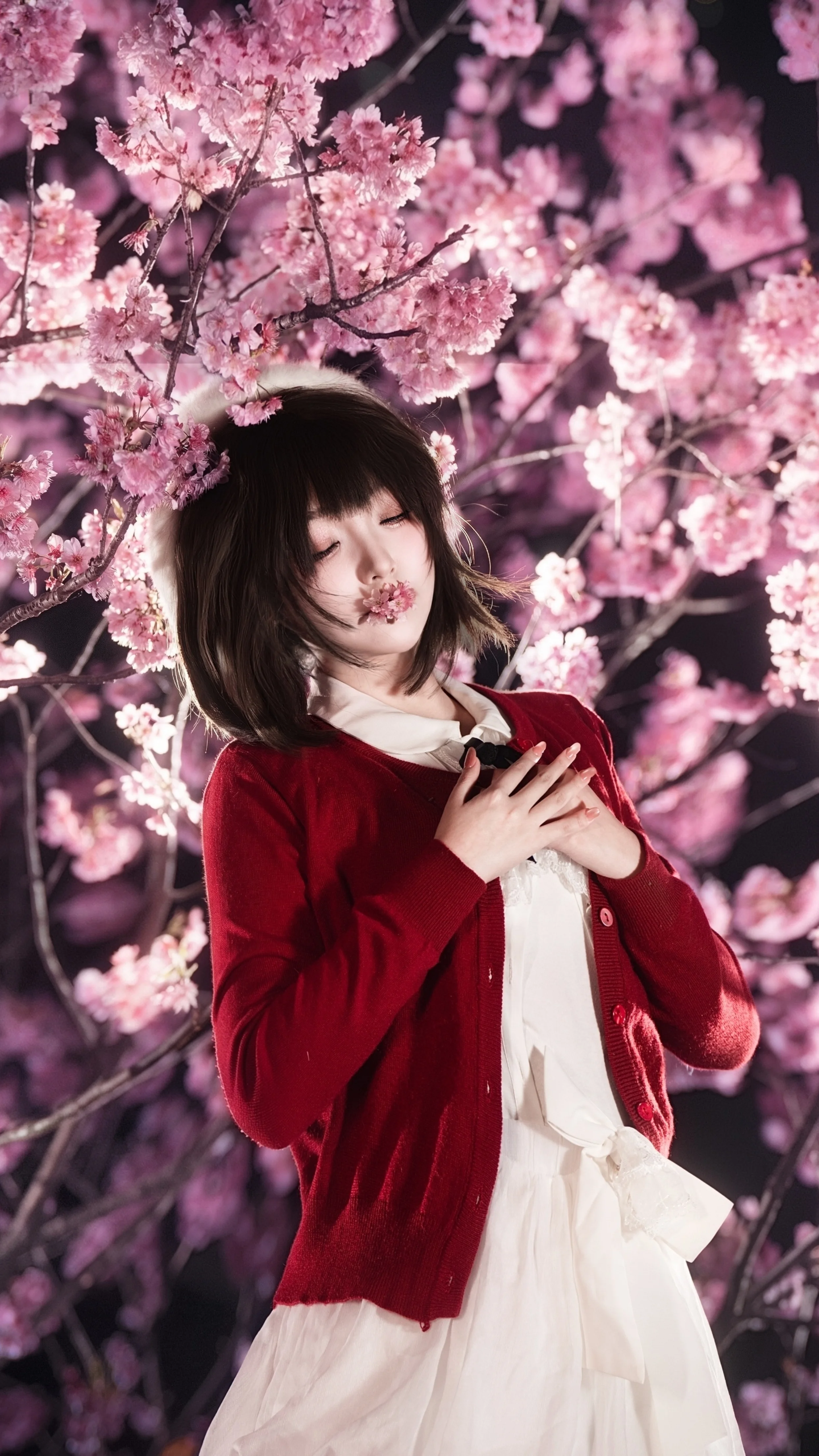 【加藤惠cos】夜樱与惠，红色开衫与花海的邂逅 - 第 3 张