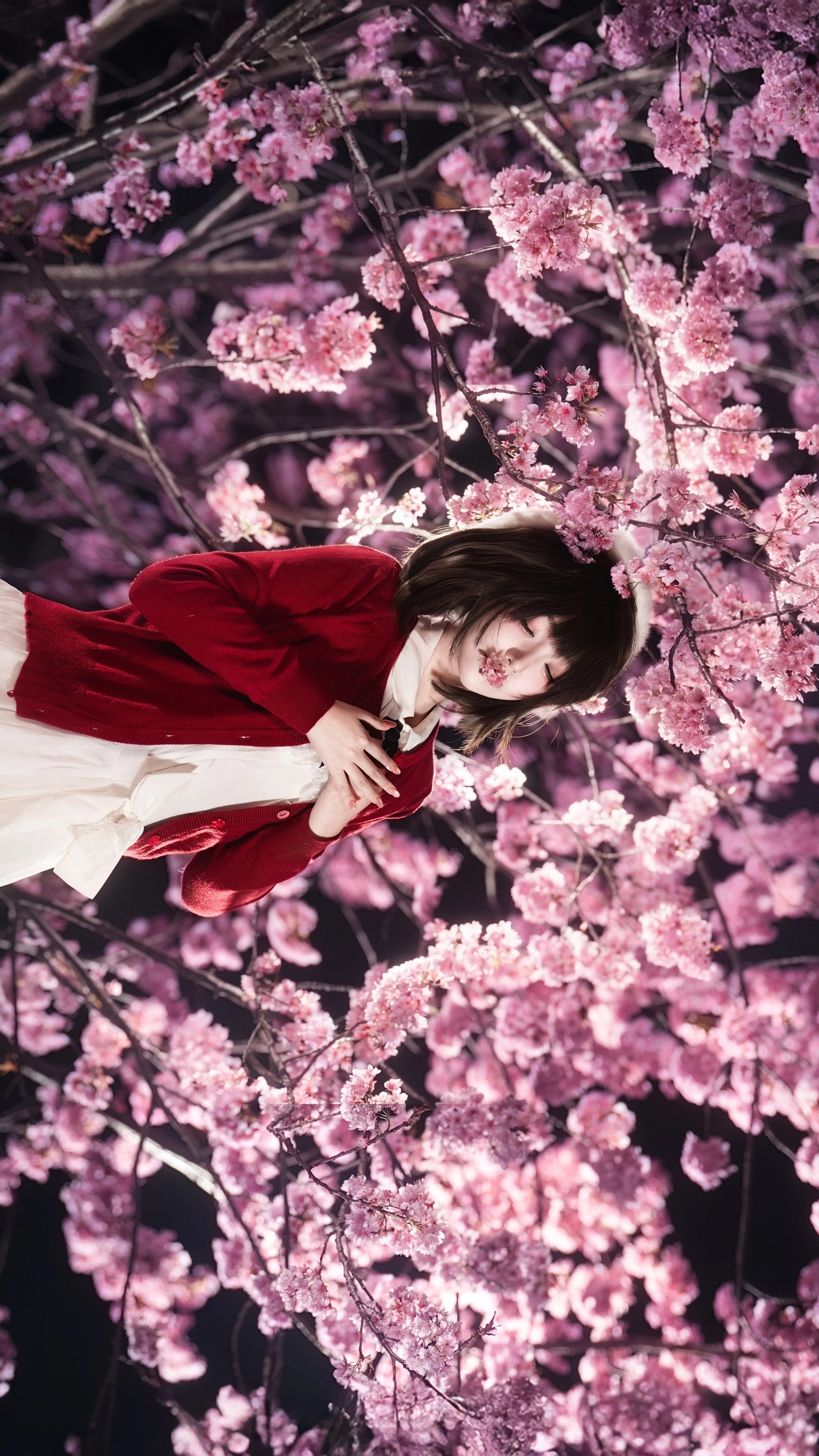 【加藤惠cos】夜樱与惠，红色开衫与花海的邂逅 - 第 4 张
