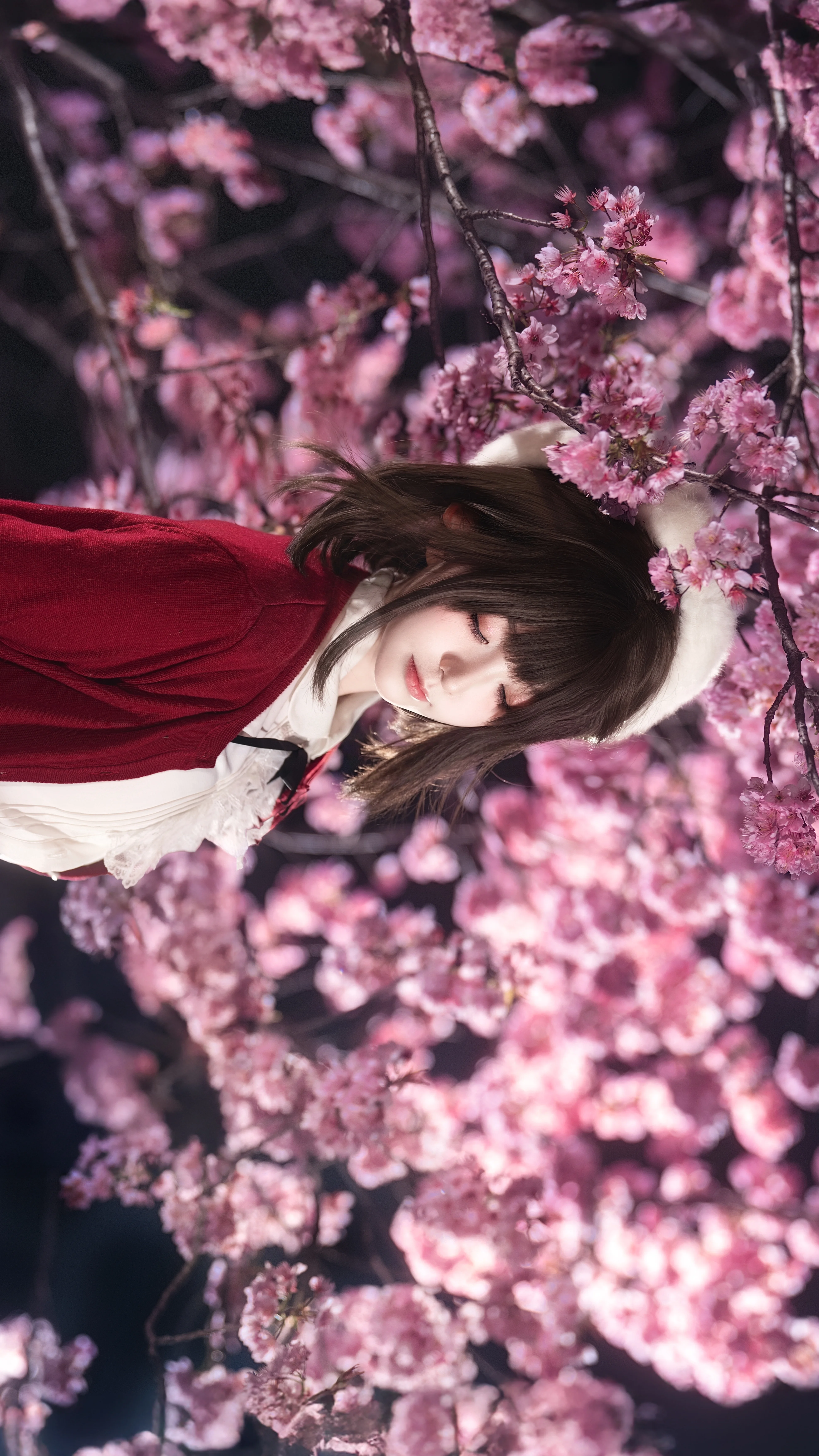 【加藤惠cos】夜樱与惠，红色开衫与花海的邂逅 - 第 6 张