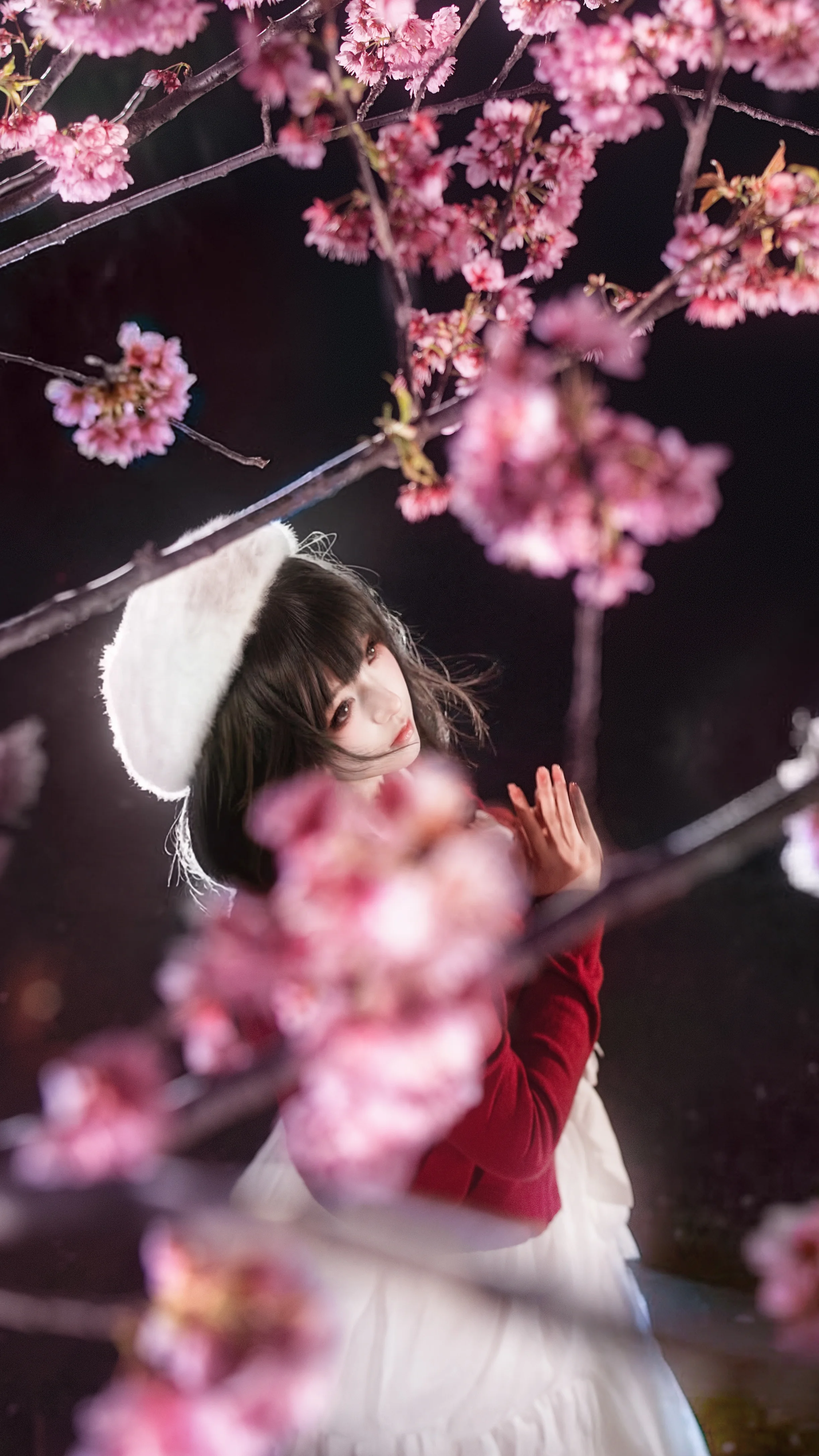 【加藤惠cos】夜樱与惠，红色开衫与花海的邂逅 - 第 7 张