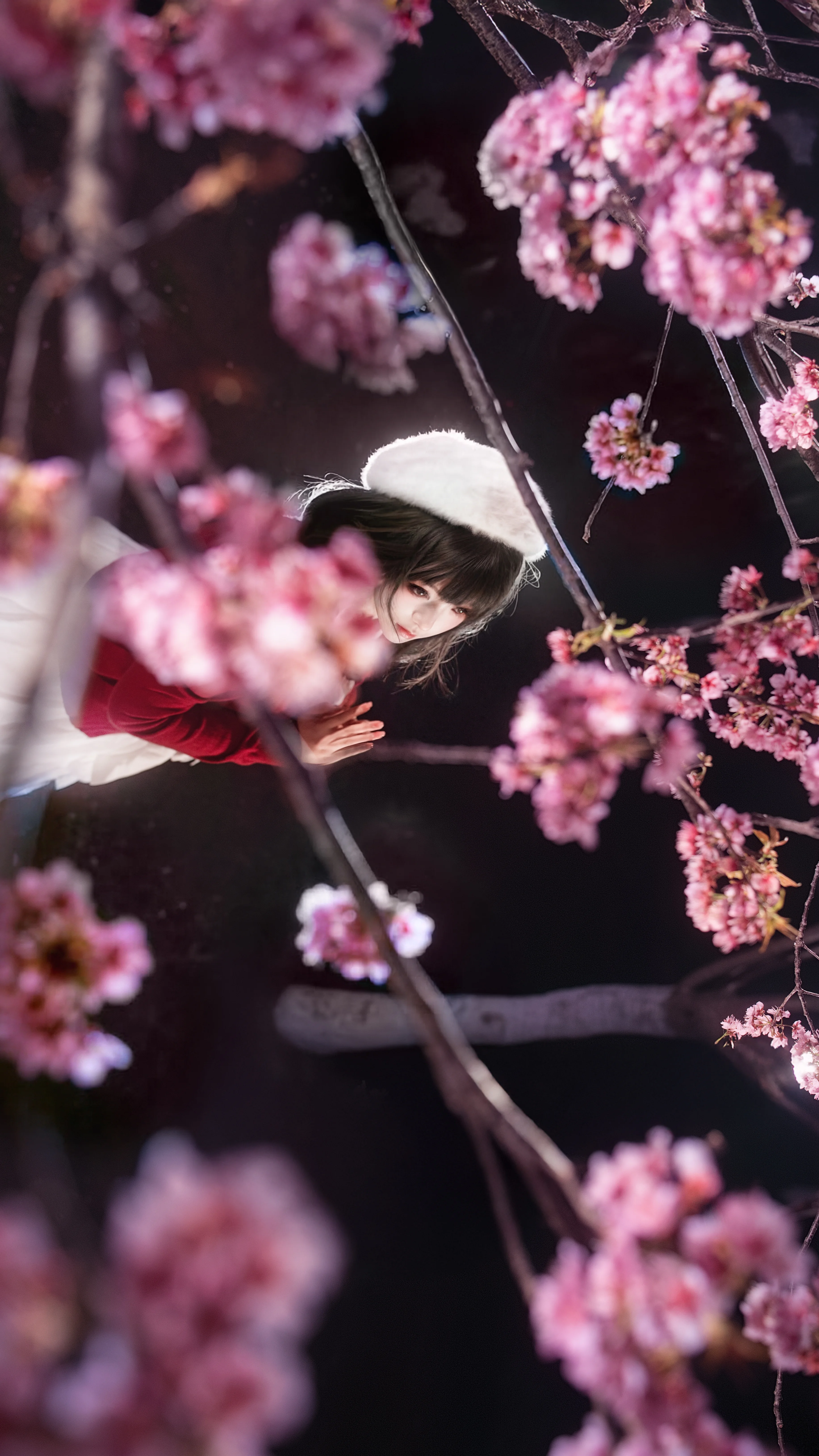 【加藤惠cos】夜樱与惠，红色开衫与花海的邂逅 - 第 8 张