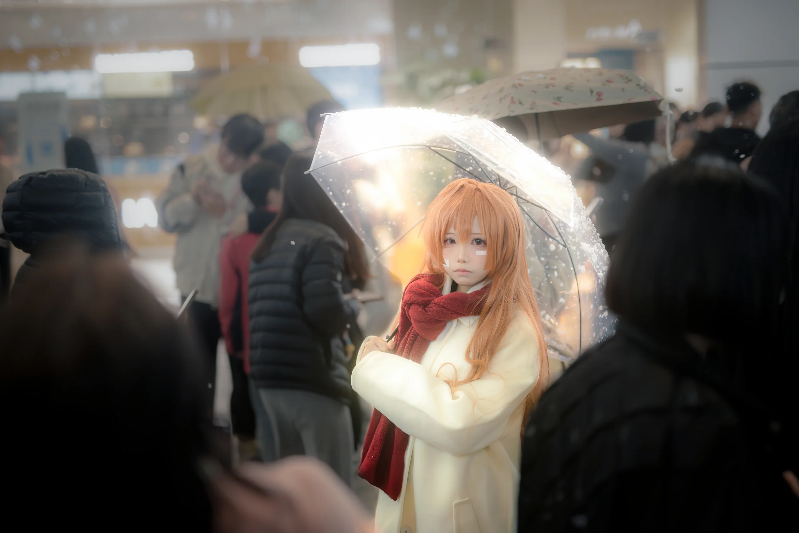 【逢坂大河cos】龙与虎的冬日圣诞，雪中的掌中老虎 - 第 2 张