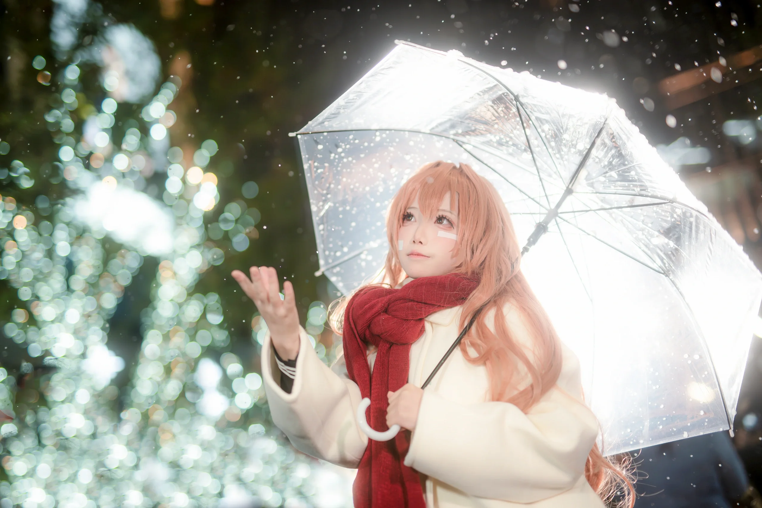【逢坂大河cos】龙与虎的冬日圣诞，雪中的掌中老虎 - 第 3 张