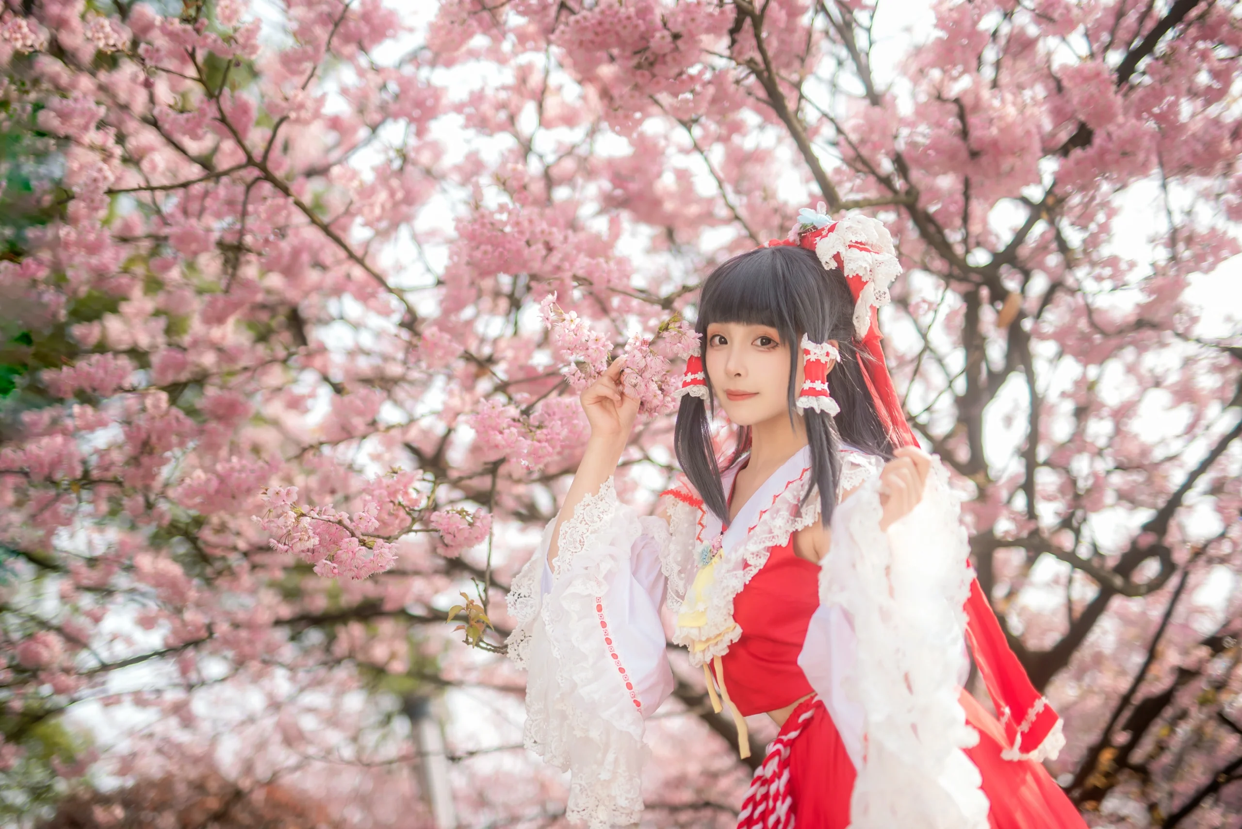 [Reimu Hakurei Cosplay] Cherry Blossoms and the Red-and-White Shrine Maiden at Nanshan Botanical Garden - Image 11
