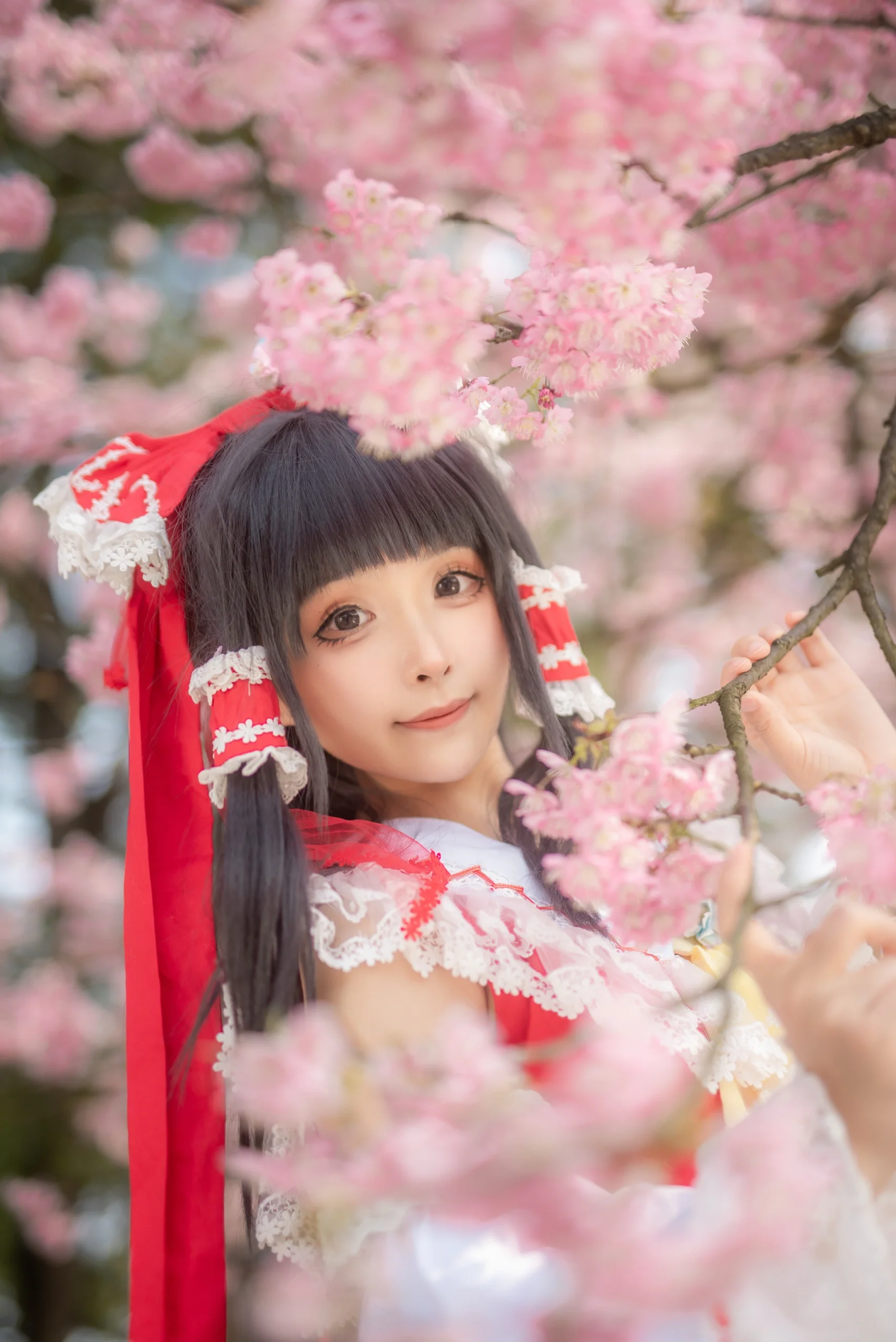 [Reimu Hakurei Cosplay] Cherry Blossoms and the Red-and-White Shrine Maiden at Nanshan Botanical Garden - Image 2