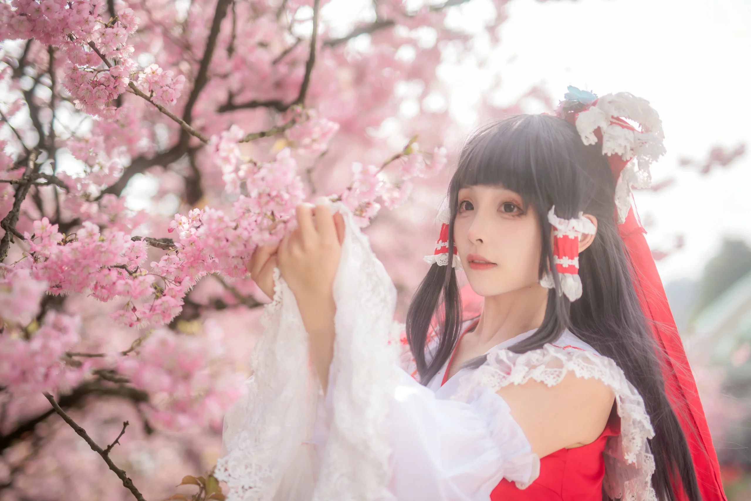 [Reimu Hakurei Cosplay] Cherry Blossoms and the Red-and-White Shrine Maiden at Nanshan Botanical Garden - Image 4