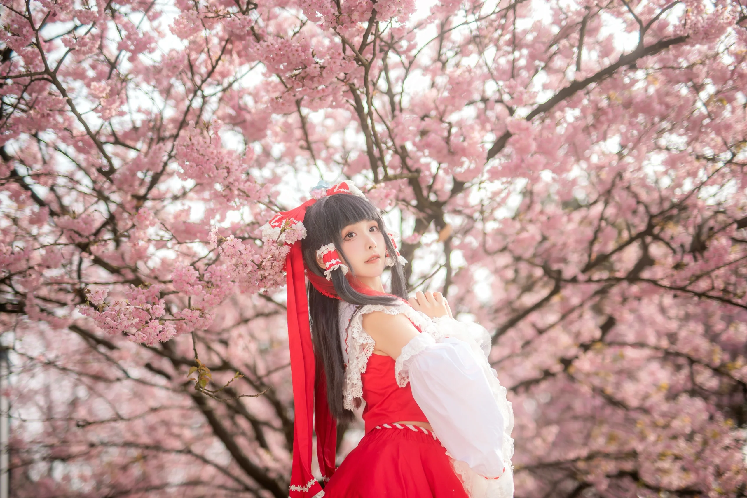 [Reimu Hakurei Cosplay] Cherry Blossoms and the Red-and-White Shrine Maiden at Nanshan Botanical Garden - Image 7