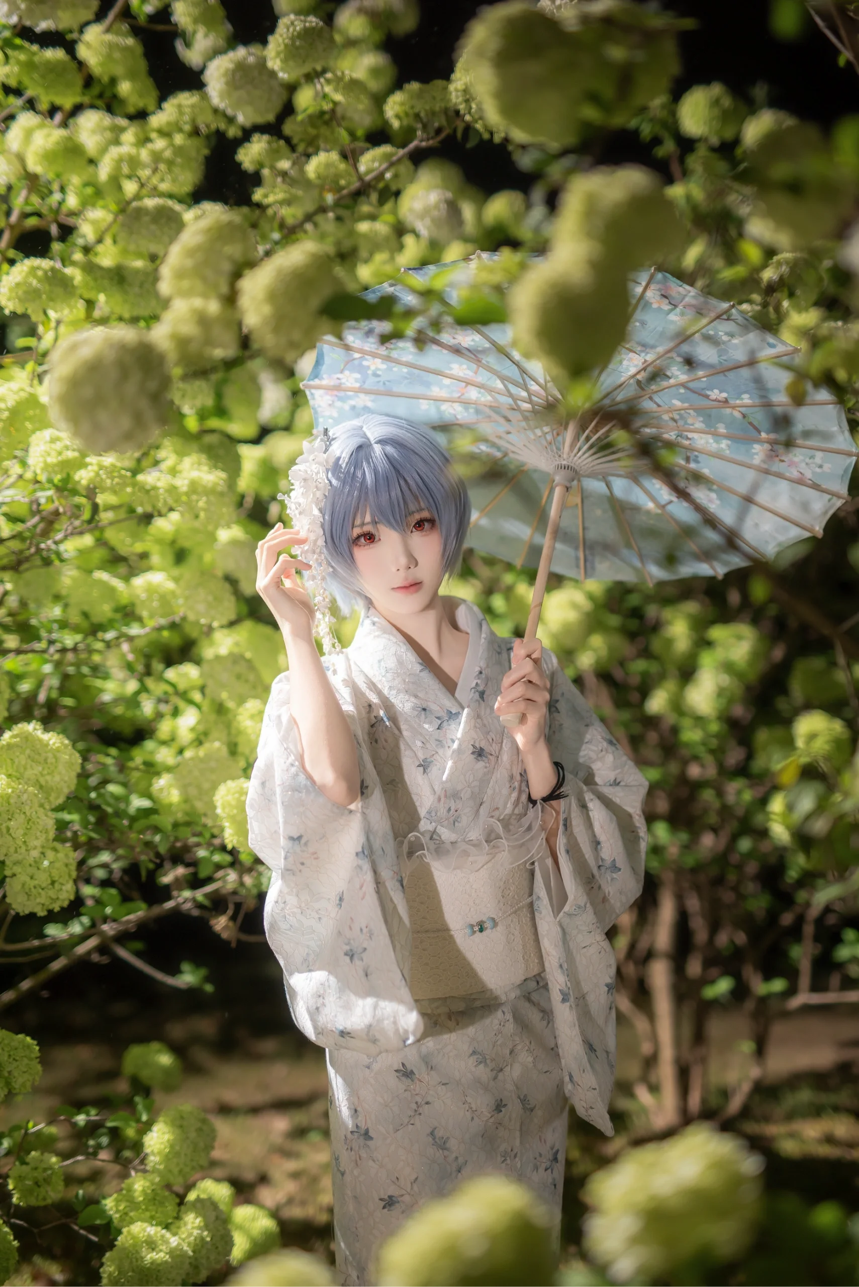 【绫波丽cos】雨夜虎溪，和服绣球与EVA的静谧 - 第 6 张