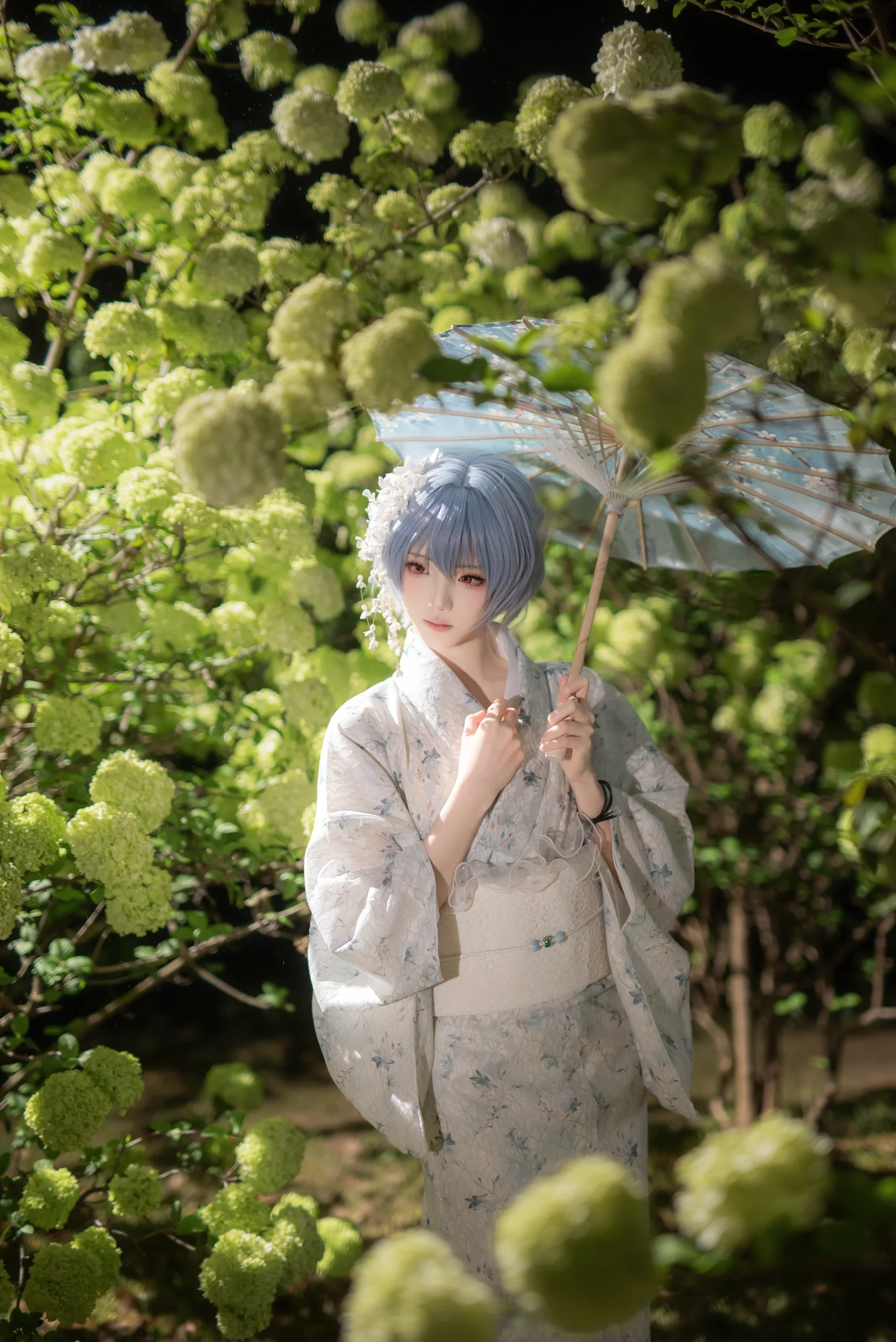 【绫波丽cos】雨夜虎溪，和服绣球与EVA的静谧 - 第 7 张