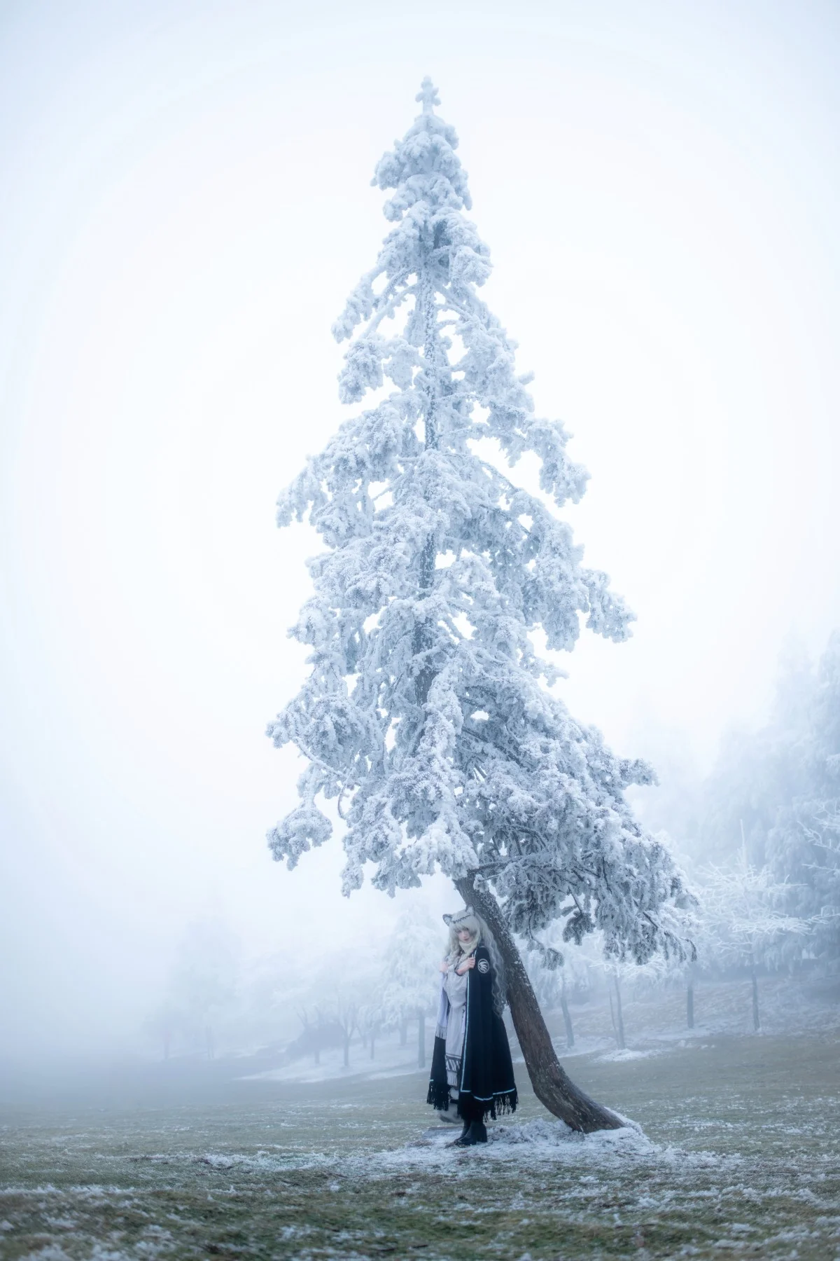 [First Snow Cosplay] Arknights, the Materialization of Kjerag's First Snow - Image 10