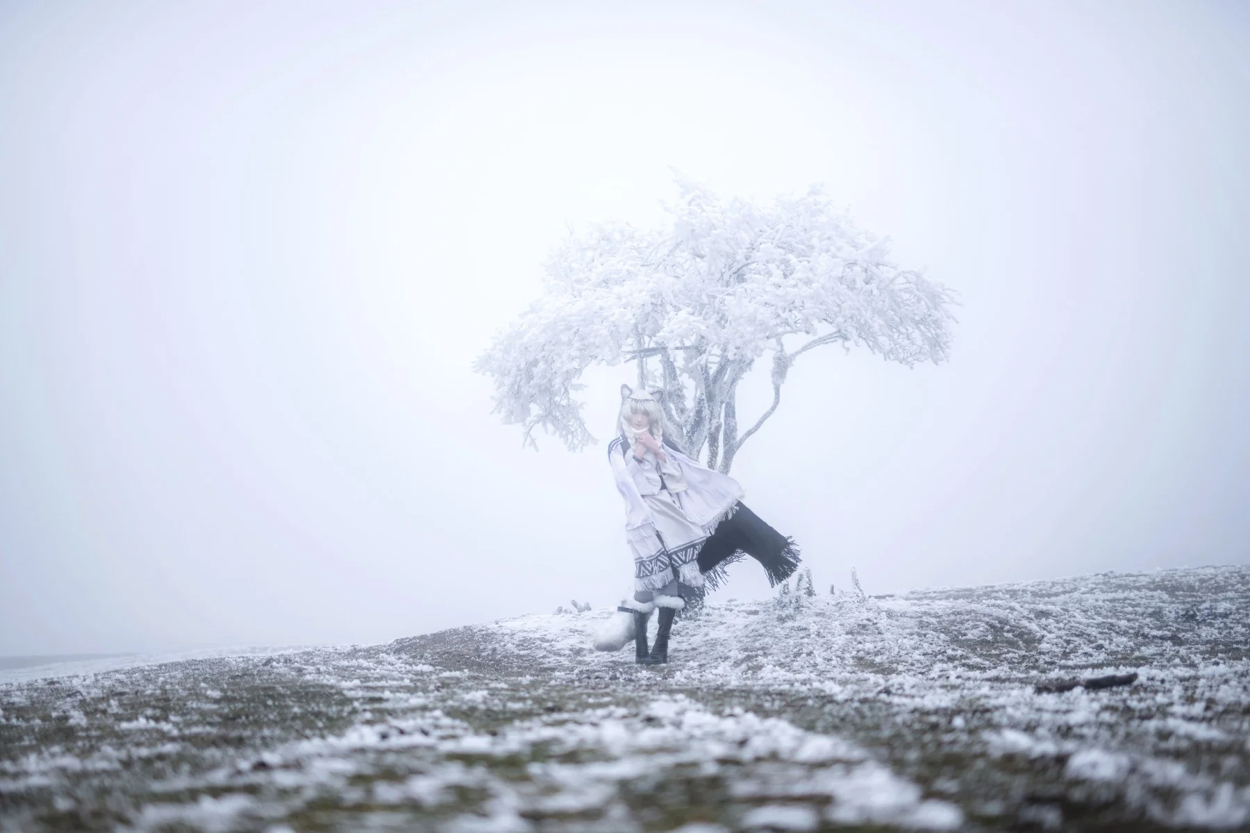 [First Snow Cosplay] Arknights, the Materialization of Kjerag's First Snow - Image 2