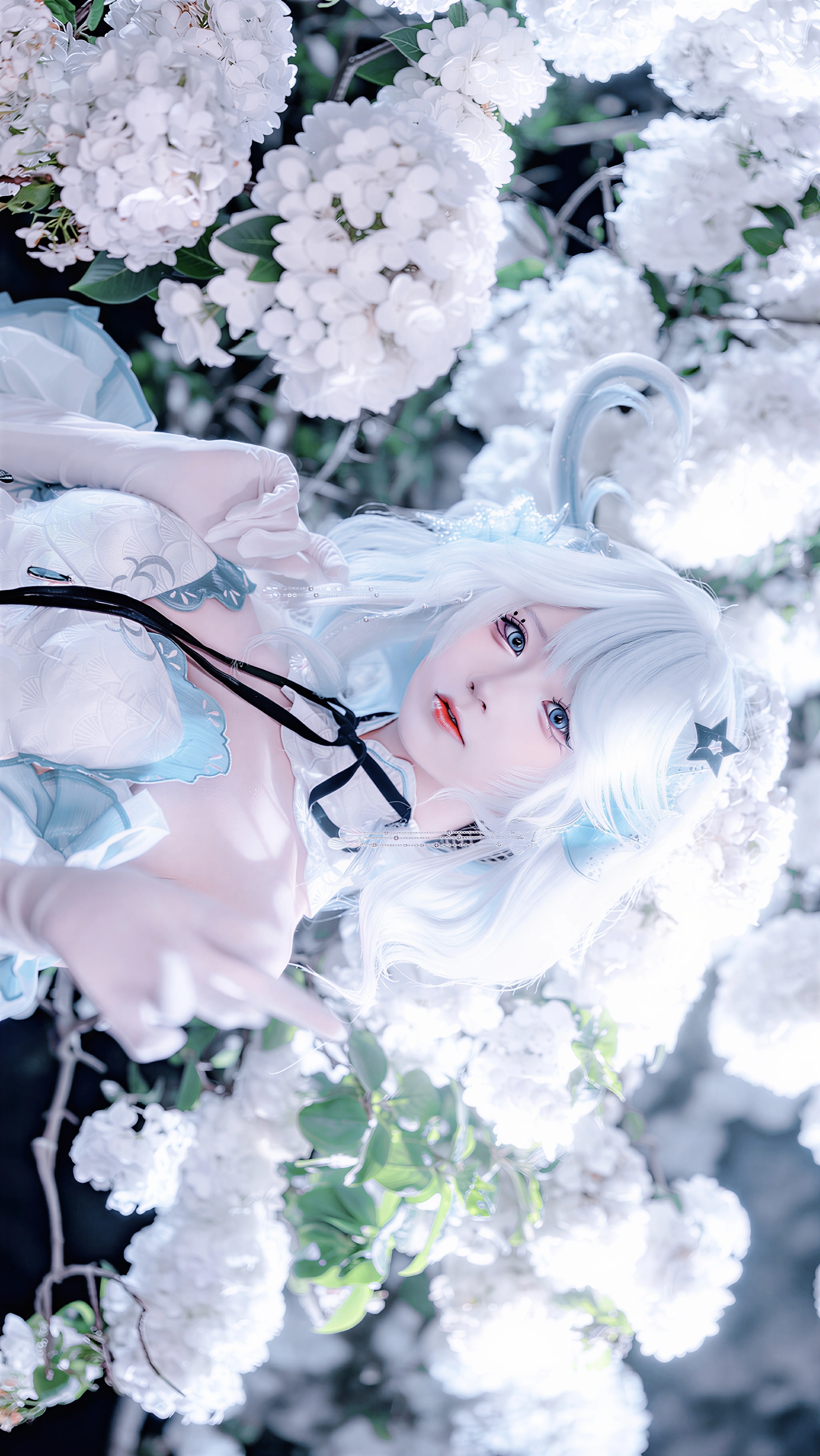 【芙宁娜cos】坠入绣球花海的童话世界 - 第 4 张