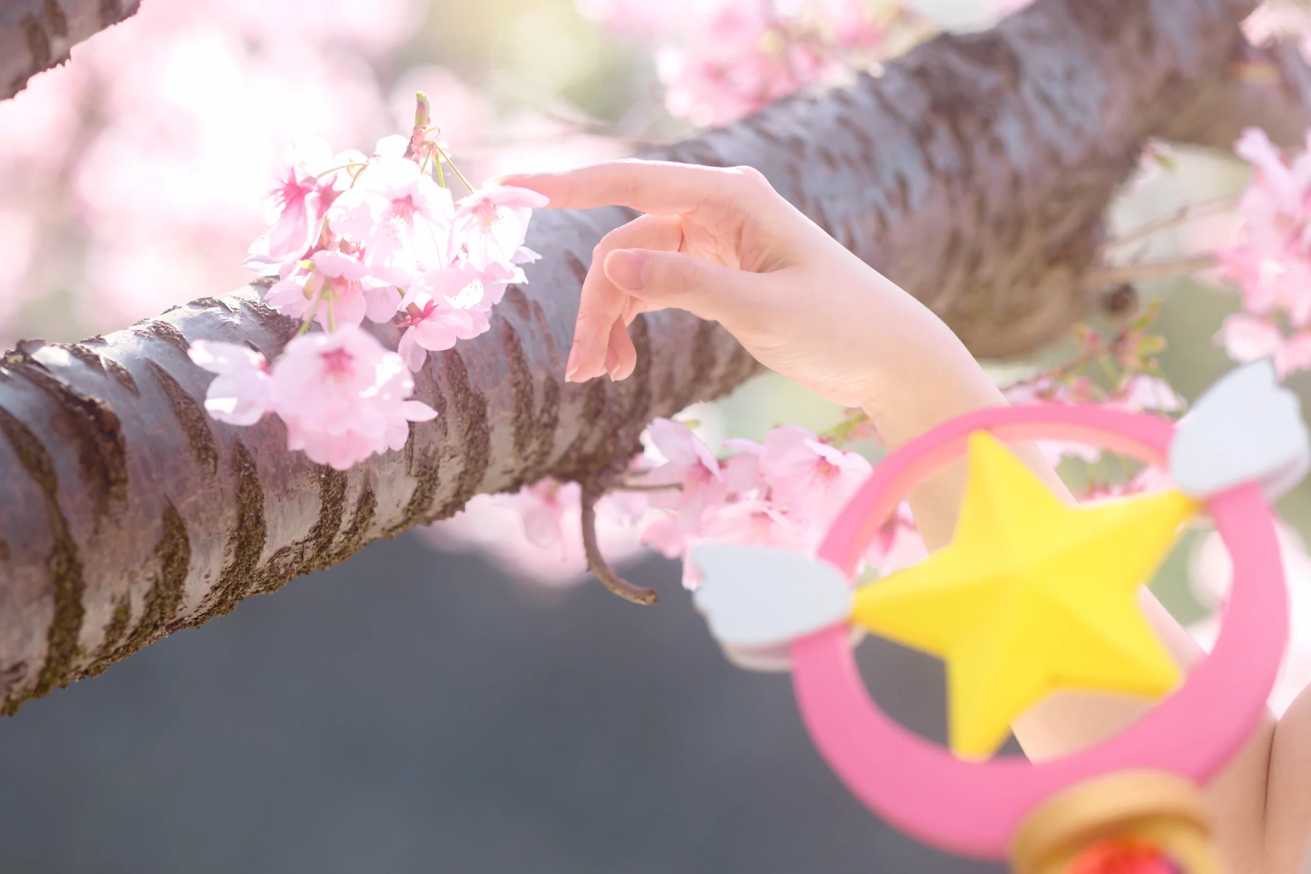 【木之本櫻cos】魔卡少女櫻的春日幻想 - 第 5 張