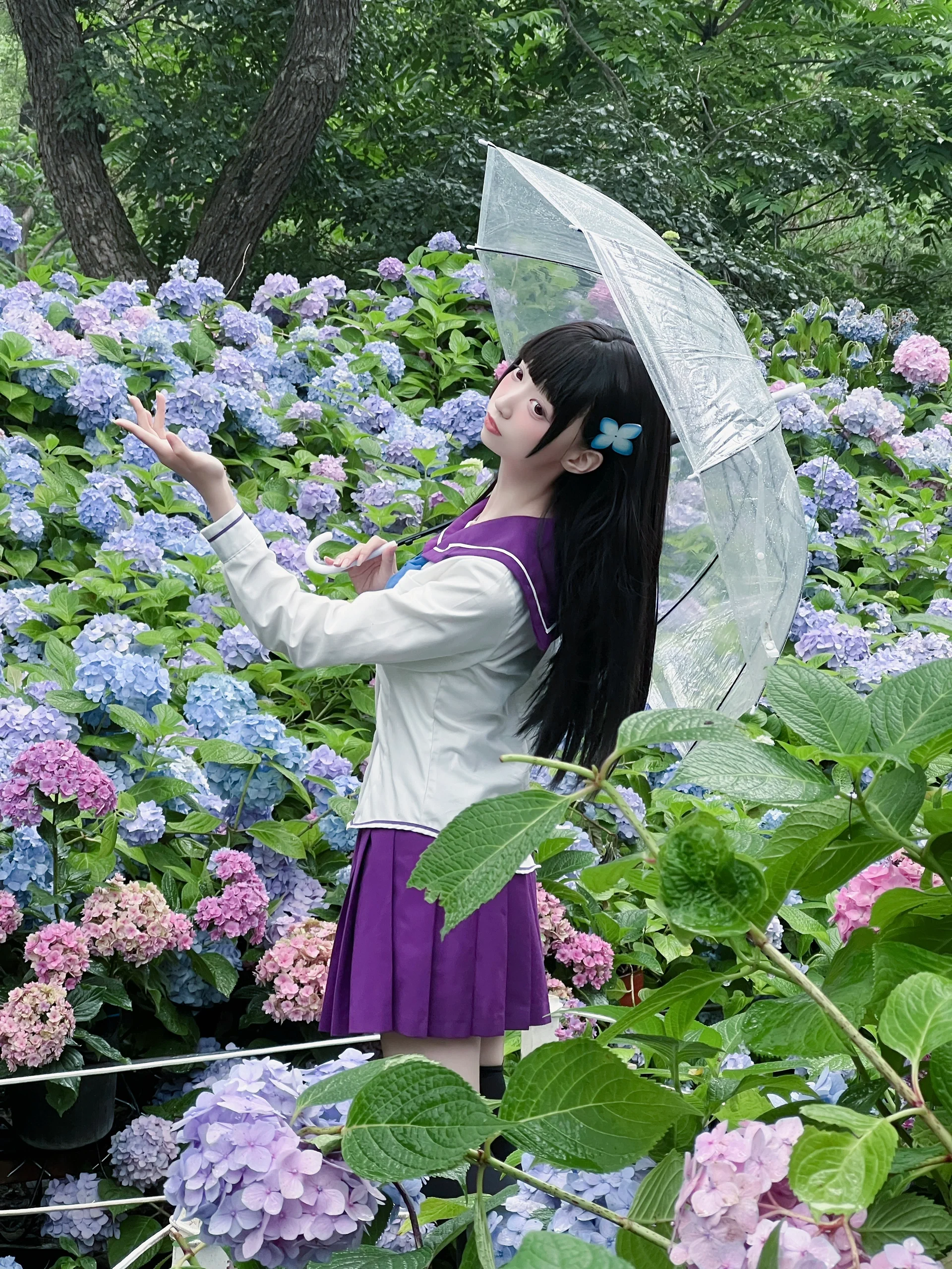【散华礼弥cos】沈阳绣球花海里的雨中漫步 - 第 1 张