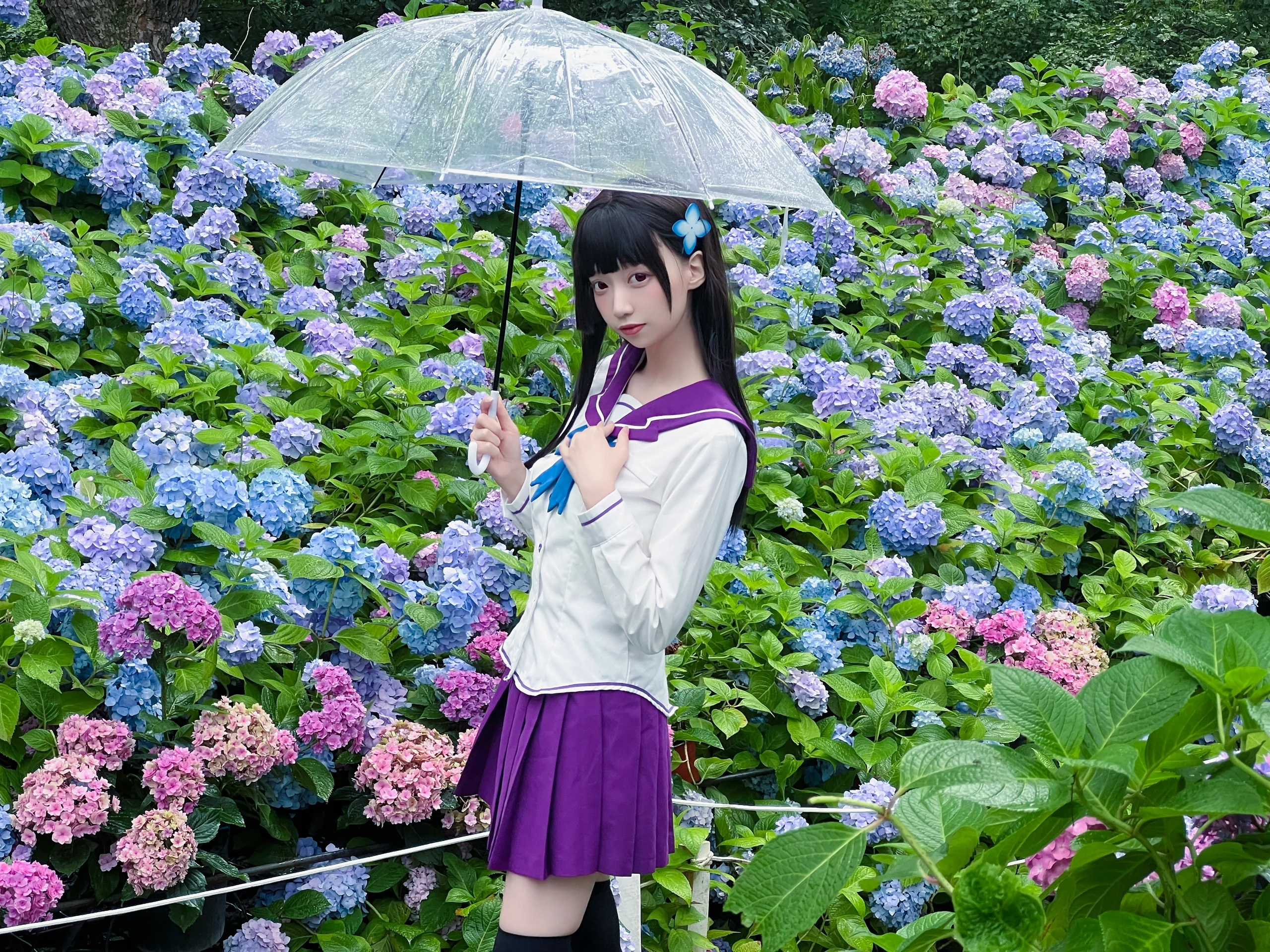 【散华礼弥cos】沈阳绣球花海里的雨中漫步 - 第 2 张