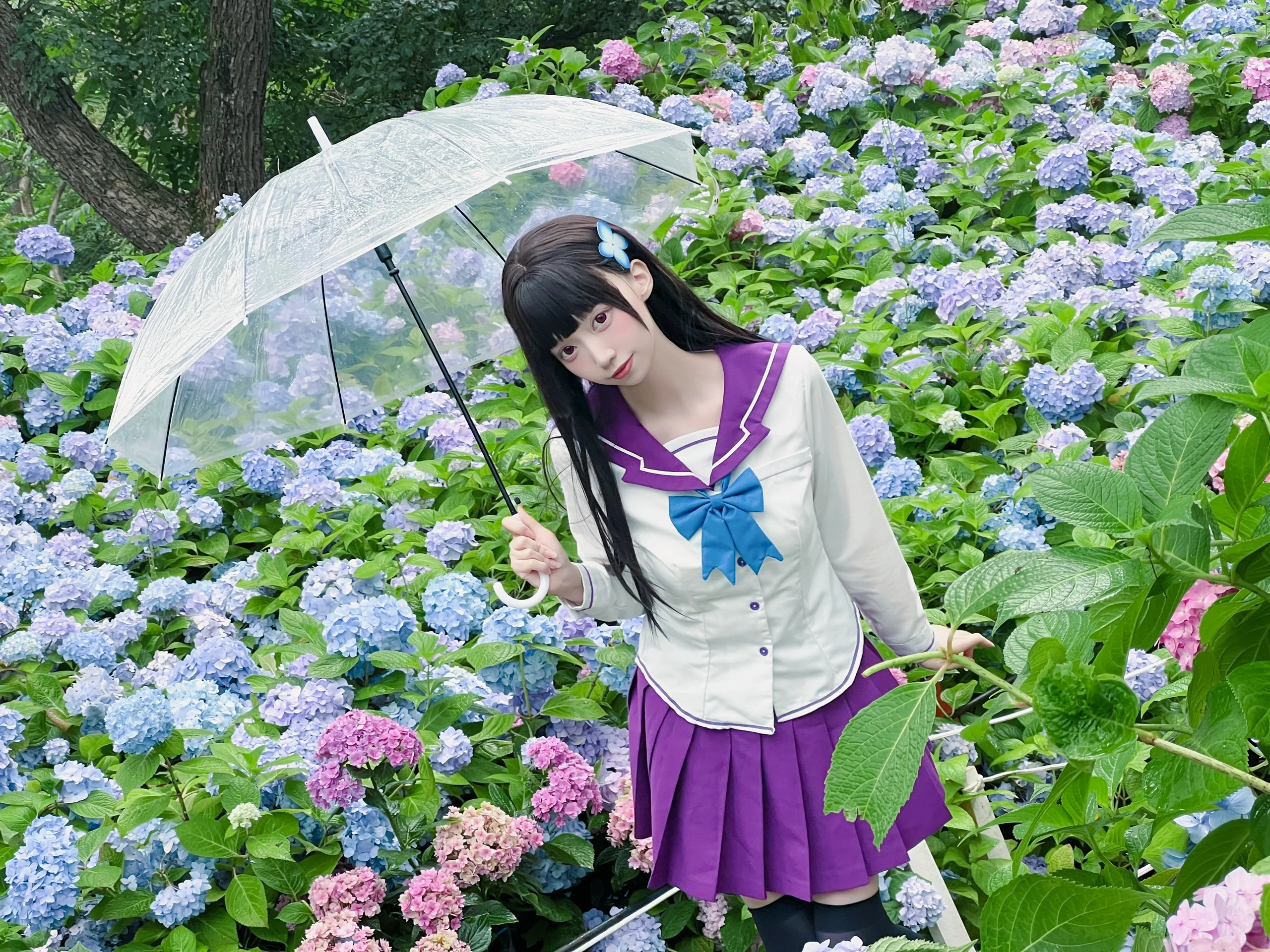 【散华礼弥cos】沈阳绣球花海里的雨中漫步