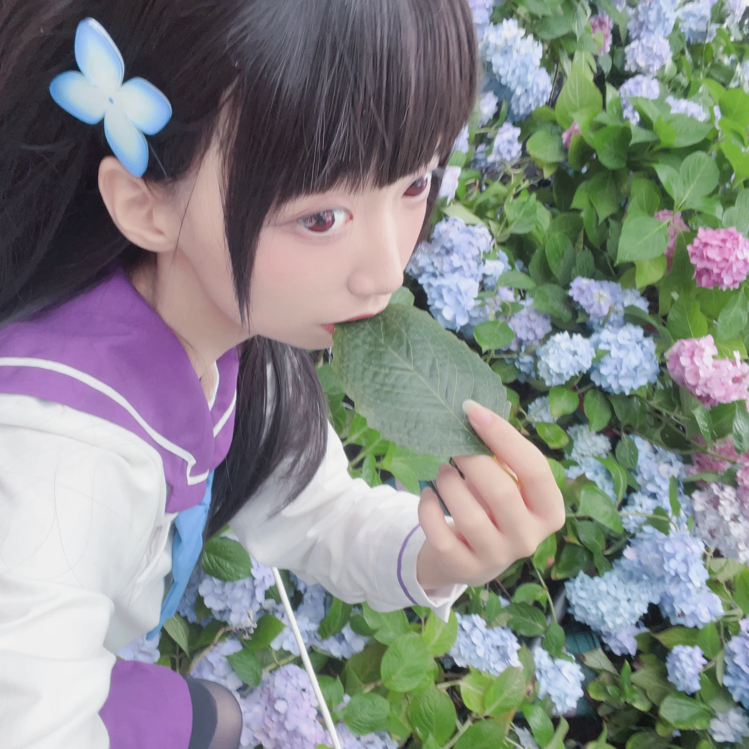 【散华礼弥cos】沈阳绣球花海里的雨中漫步 - 第 5 张