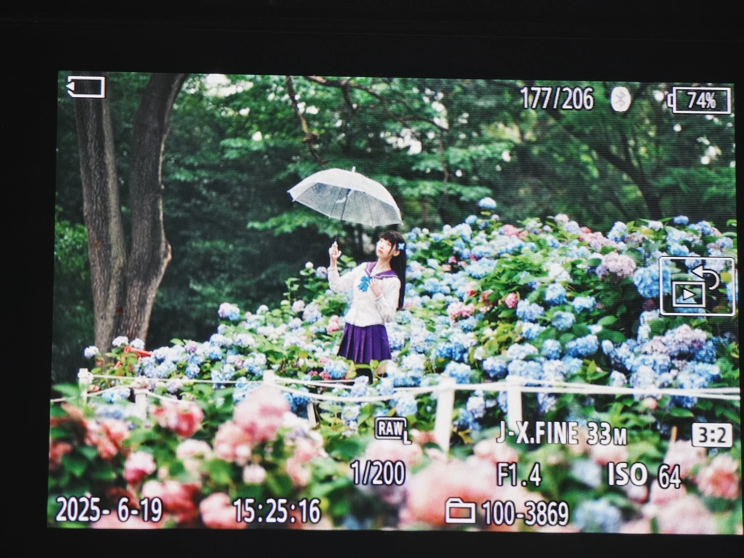 【散华礼弥cos】沈阳绣球花海里的雨中漫步 - 第 8 张