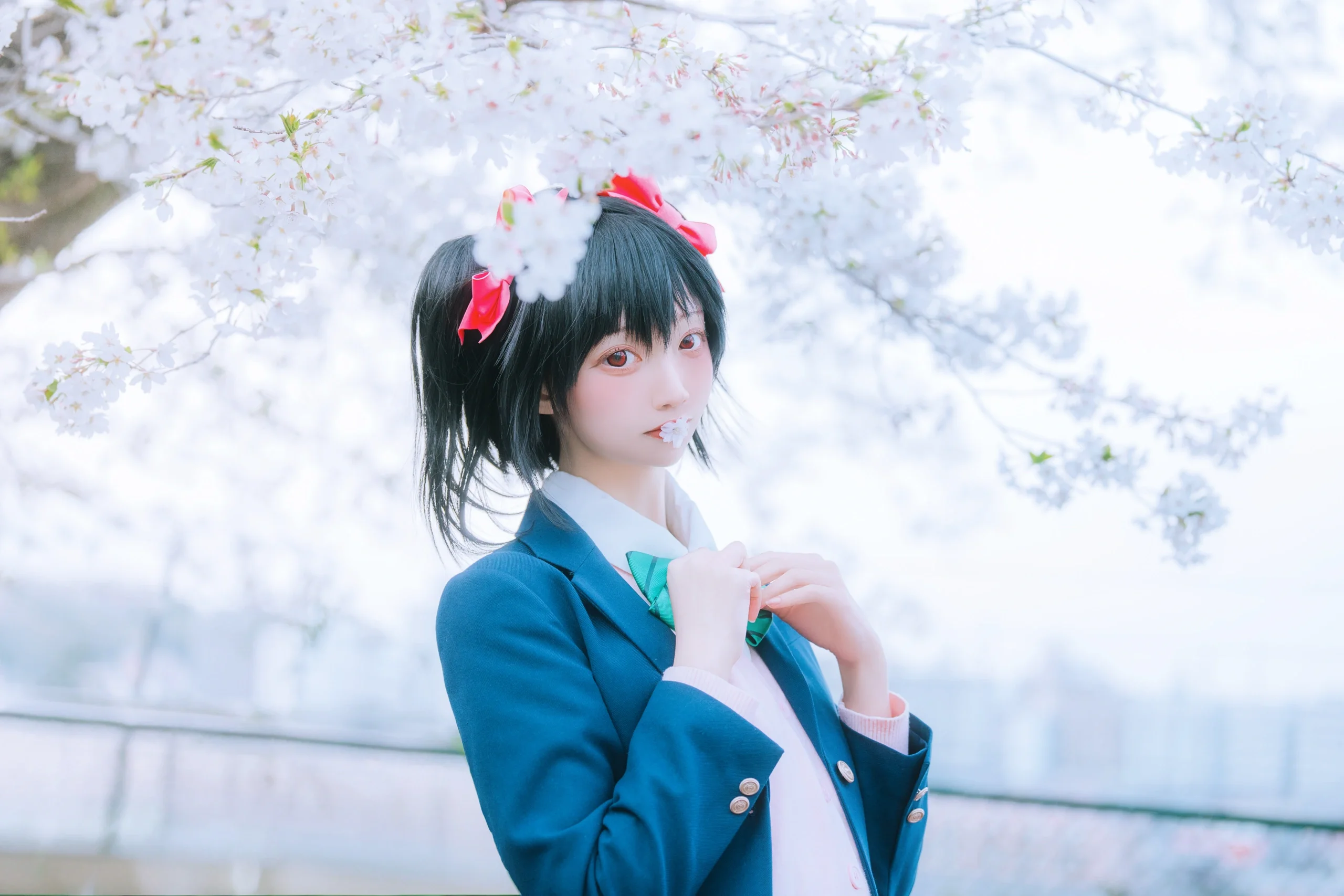 [Yazawa Nico Cosplay] Love Live! School Idol's Daily Life Under the Cherry Blossom Trees - Image 4
