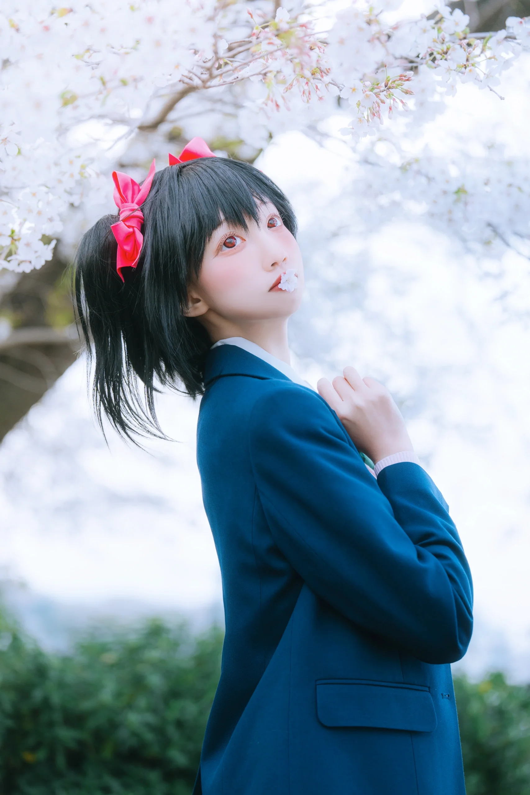 [Yazawa Nico Cosplay] Love Live! School Idol's Daily Life Under the Cherry Blossom Trees - Image 5