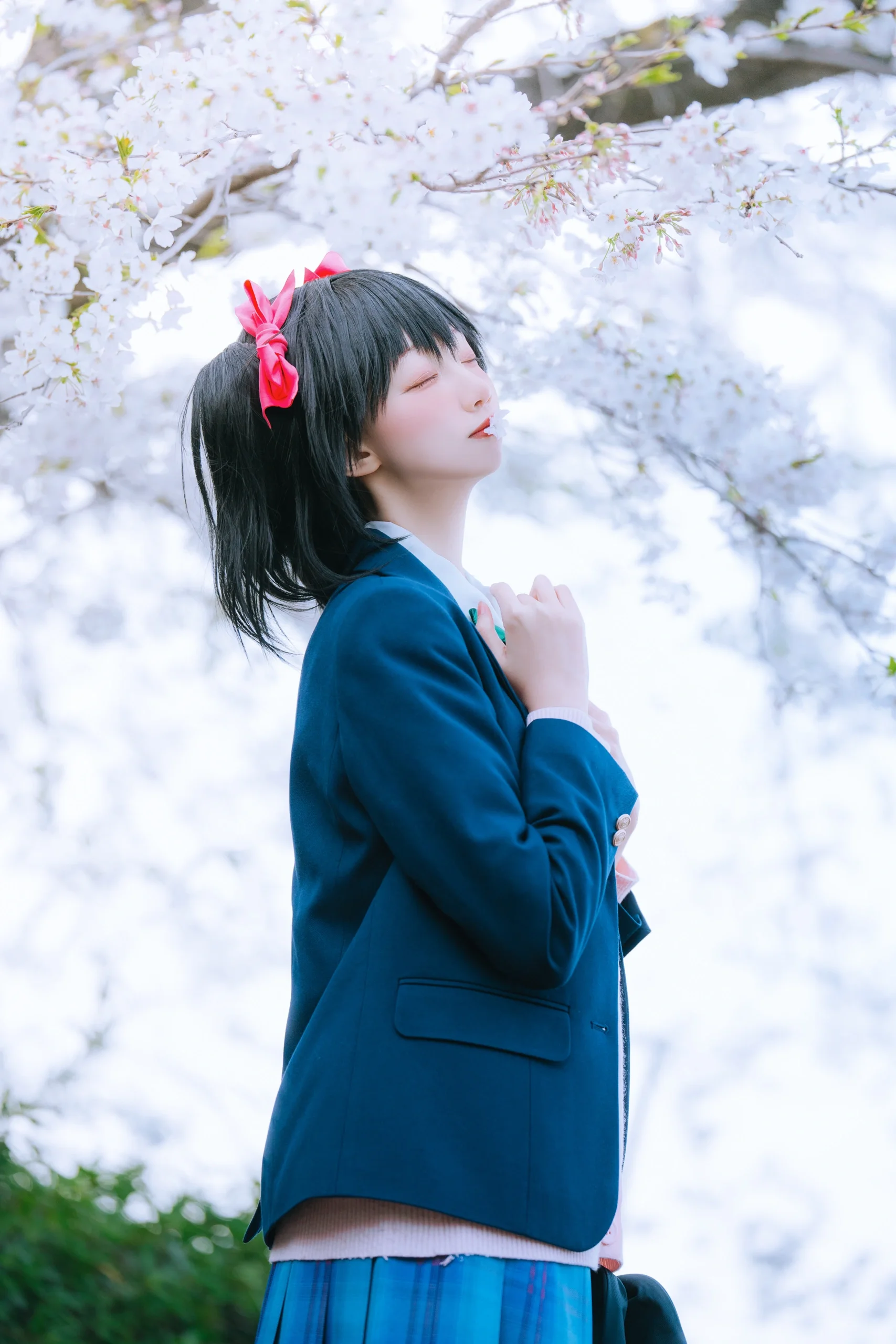 [Yazawa Nico Cosplay] Love Live! School Idol's Daily Life Under the Cherry Blossom Trees - Image 6