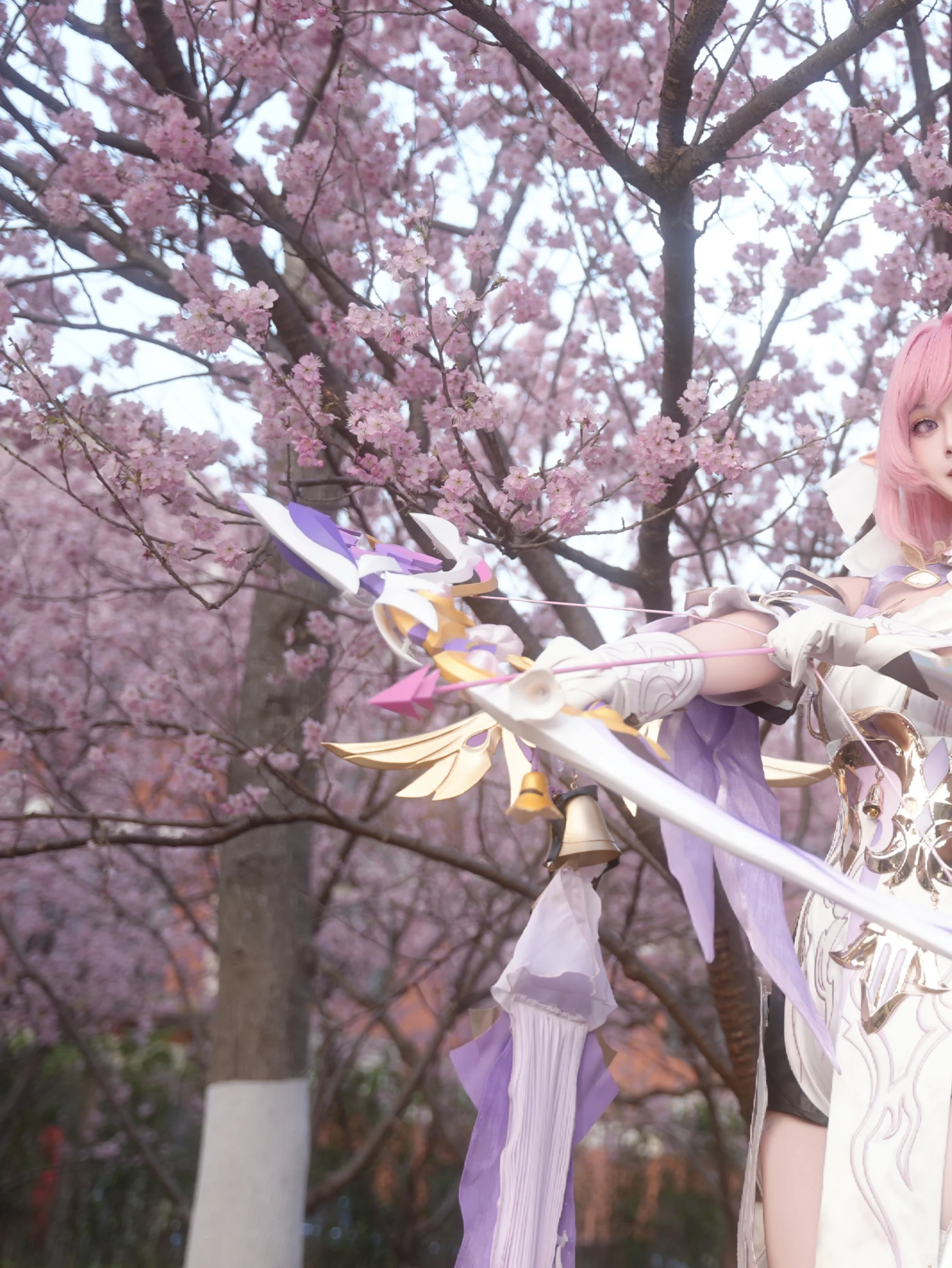 【エリシア コスプレ】『崩壊 3rd』人の律者エリシア、桜色の花海に放つ矢 - 1 枚目