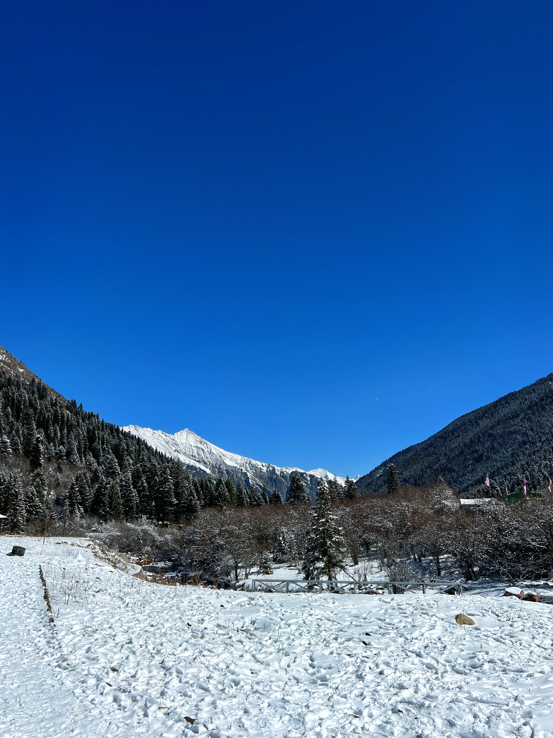 【神里绫华cos】雪原上的白鹭，直面零下气温的终极挑战 - 第 5 张