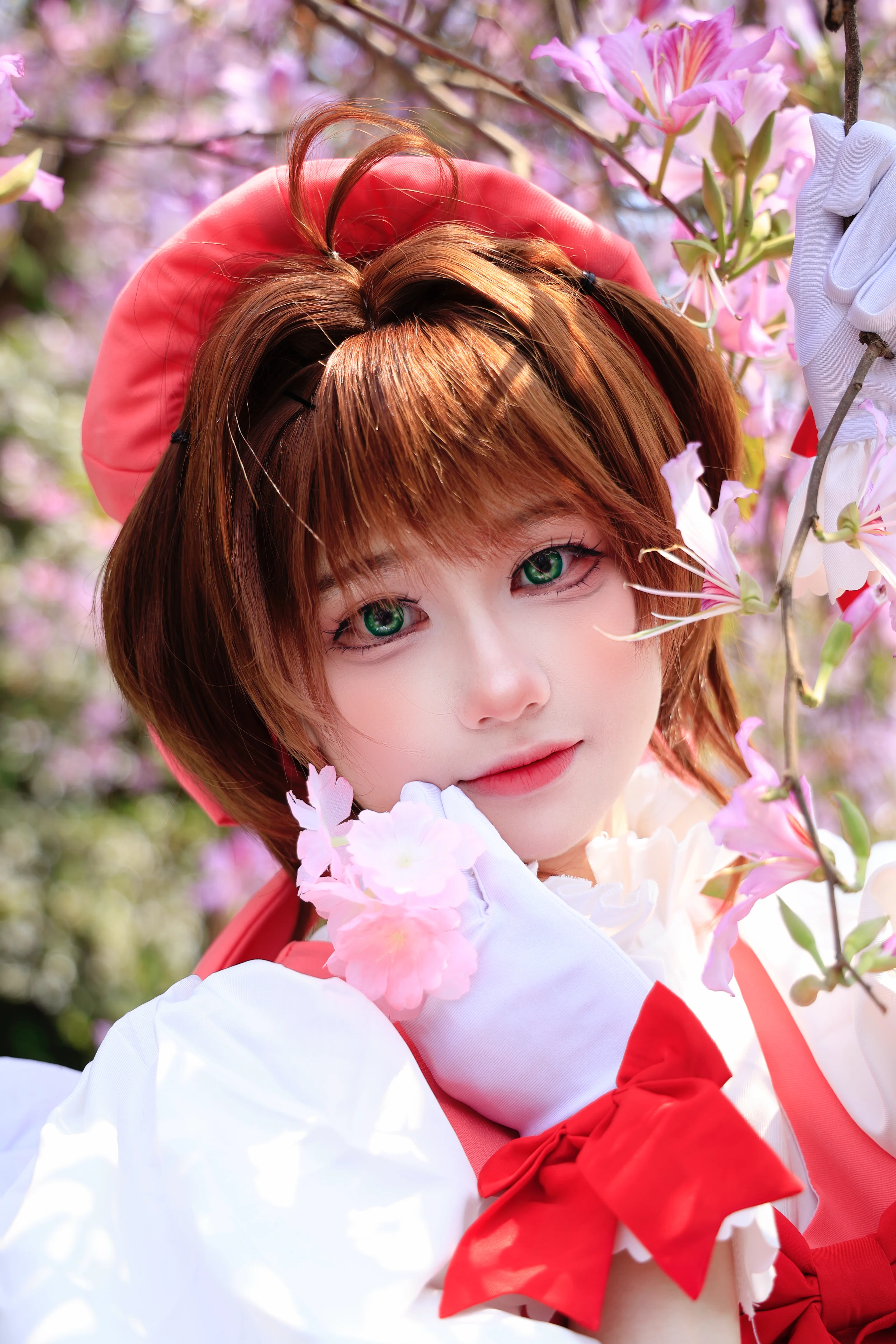 【木之本樱cos】魔卡少女樱，春日繁花里的红白魔法