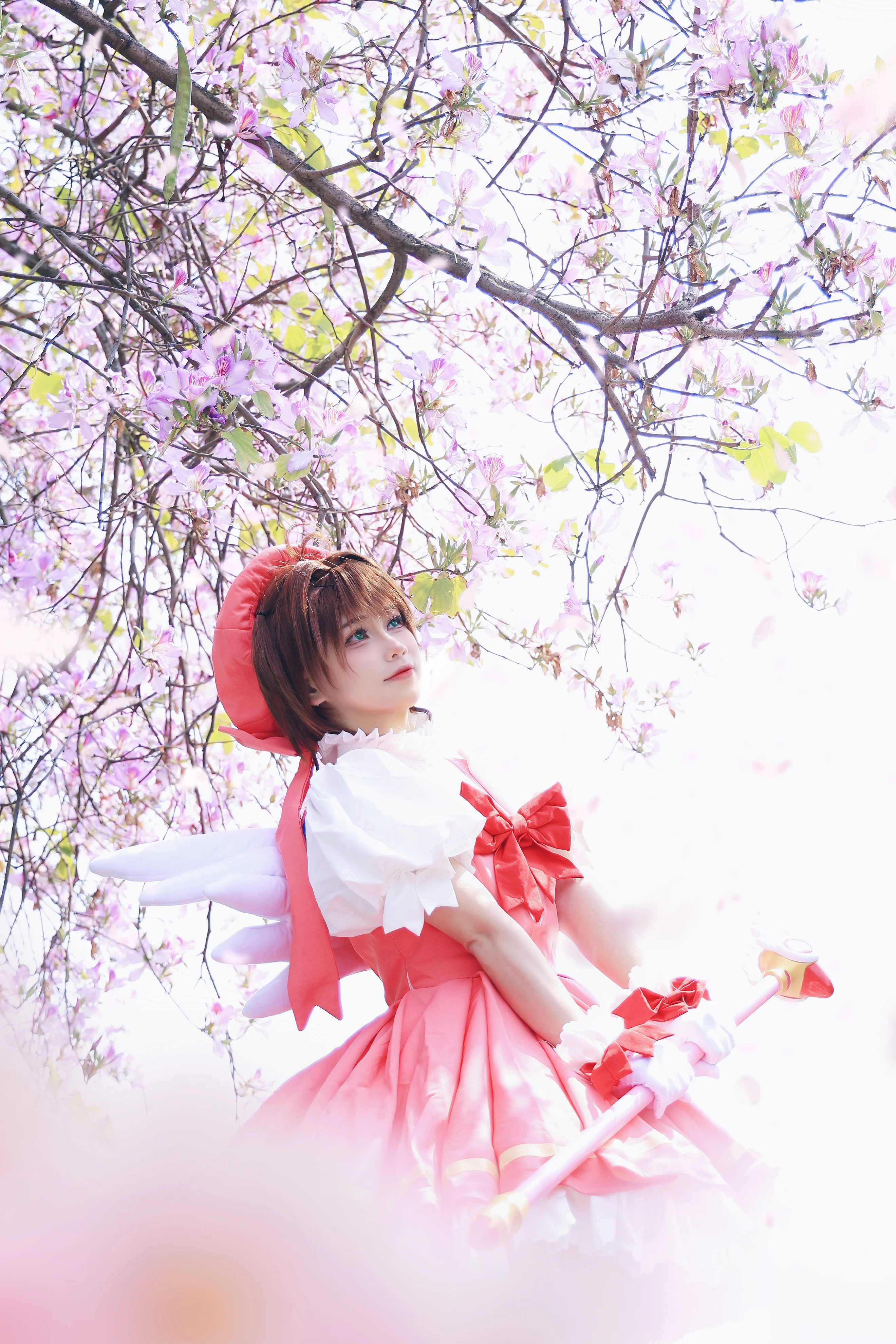 【木之本桜 コスプレ】カードキャプターさくら、春の満開の花々に包まれた赤と白の魔法 - 6 枚目