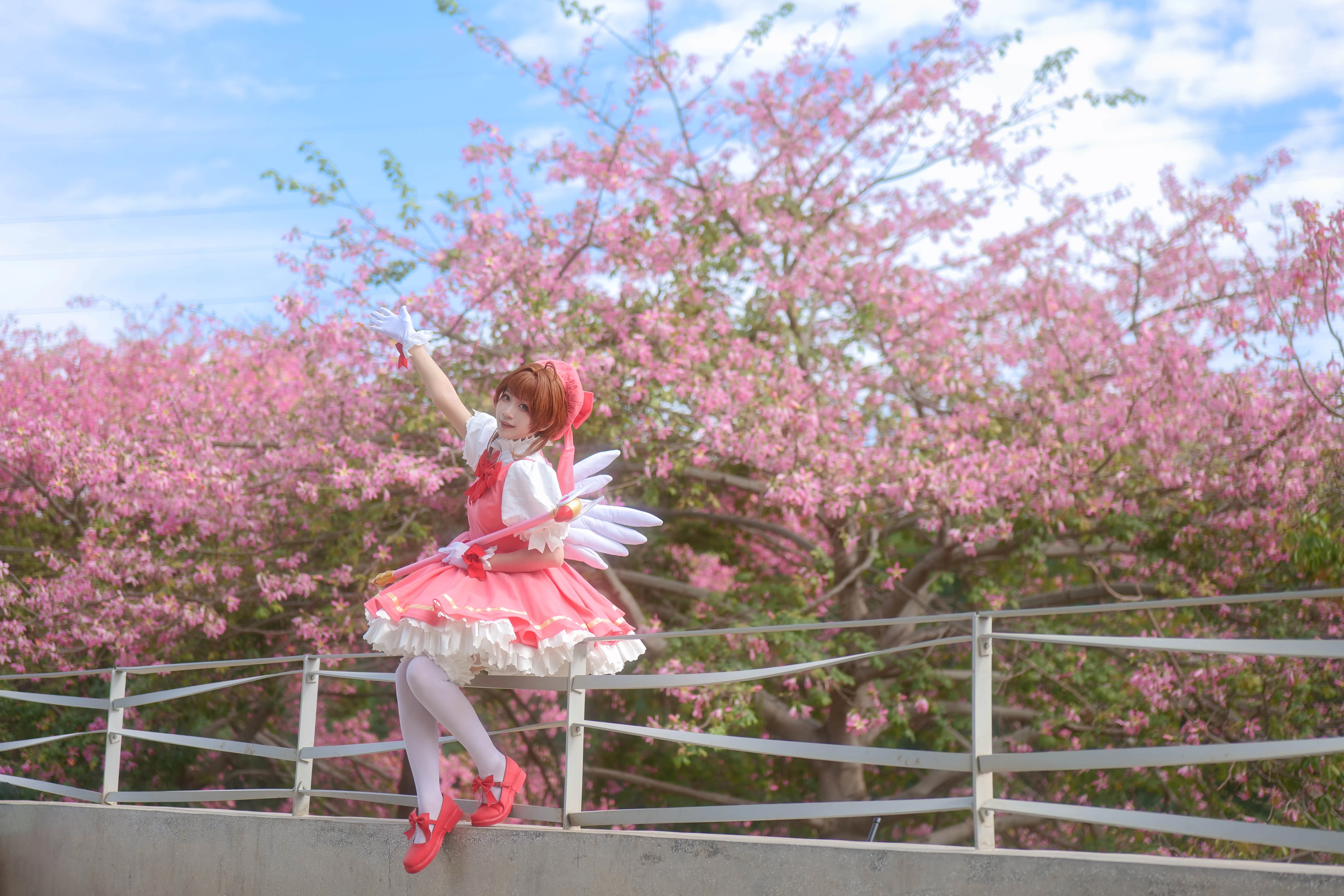 【木之本櫻cos】魔卡少女櫻的粉紅春日限定 - 第 4 張