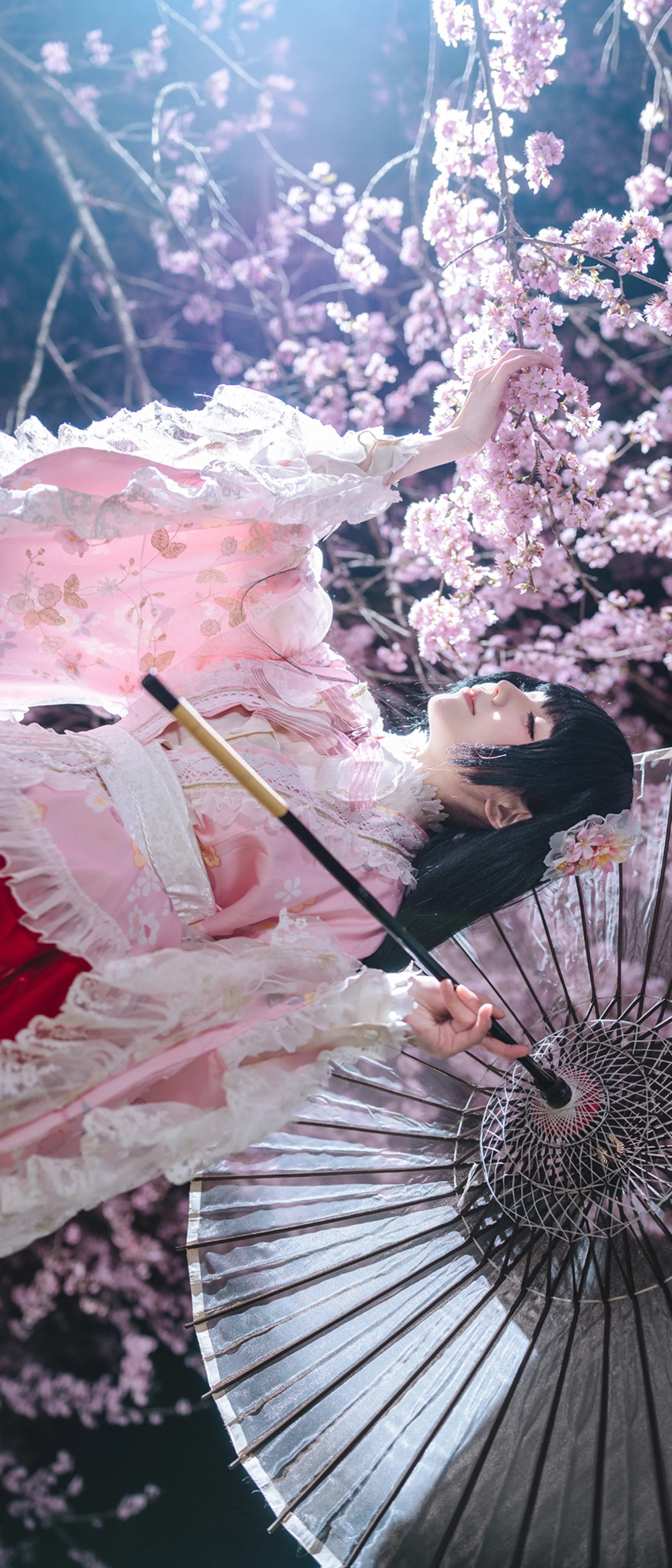 【蓬莱山辉夜cos】永恒与须臾交界处的夜樱 - 第 2 张