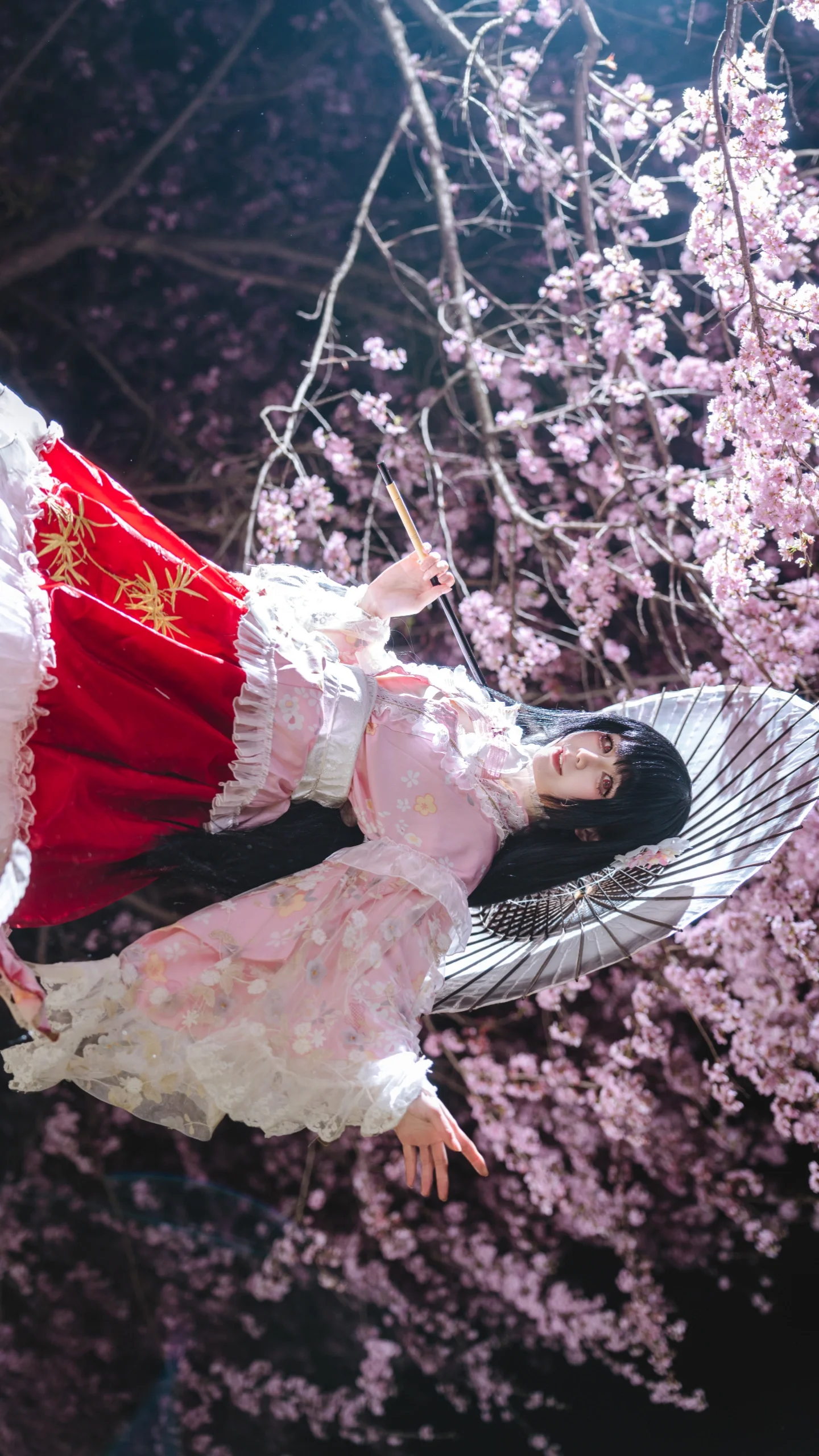 【蓬莱山辉夜cos】永恒与须臾交界处的夜樱 - 第 4 张