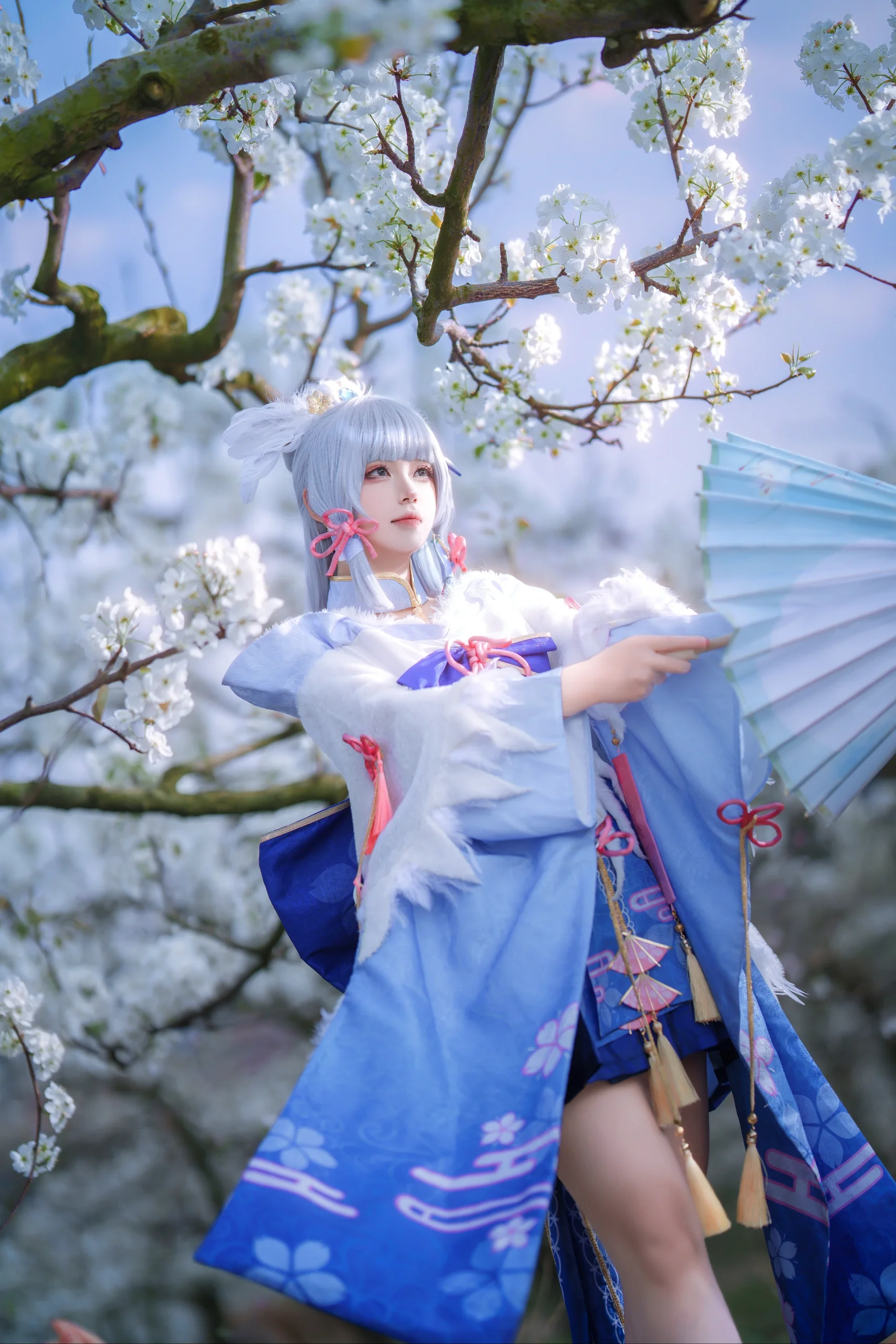 【神里绫华cos】花枝与清风，定格春日蓝白 - 第 1 张