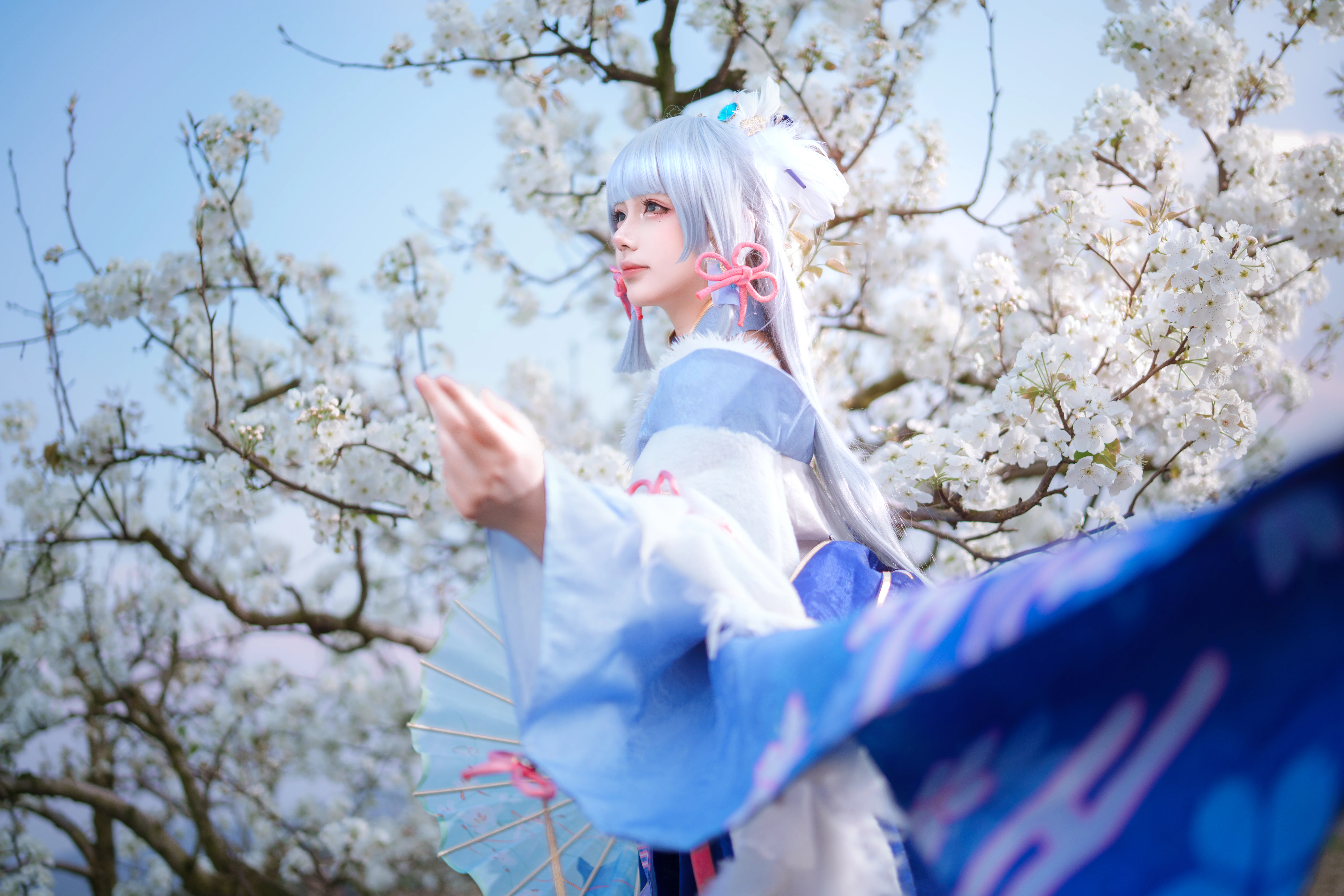 【神里绫华cos】花枝与清风，定格春日蓝白 - 第 3 张